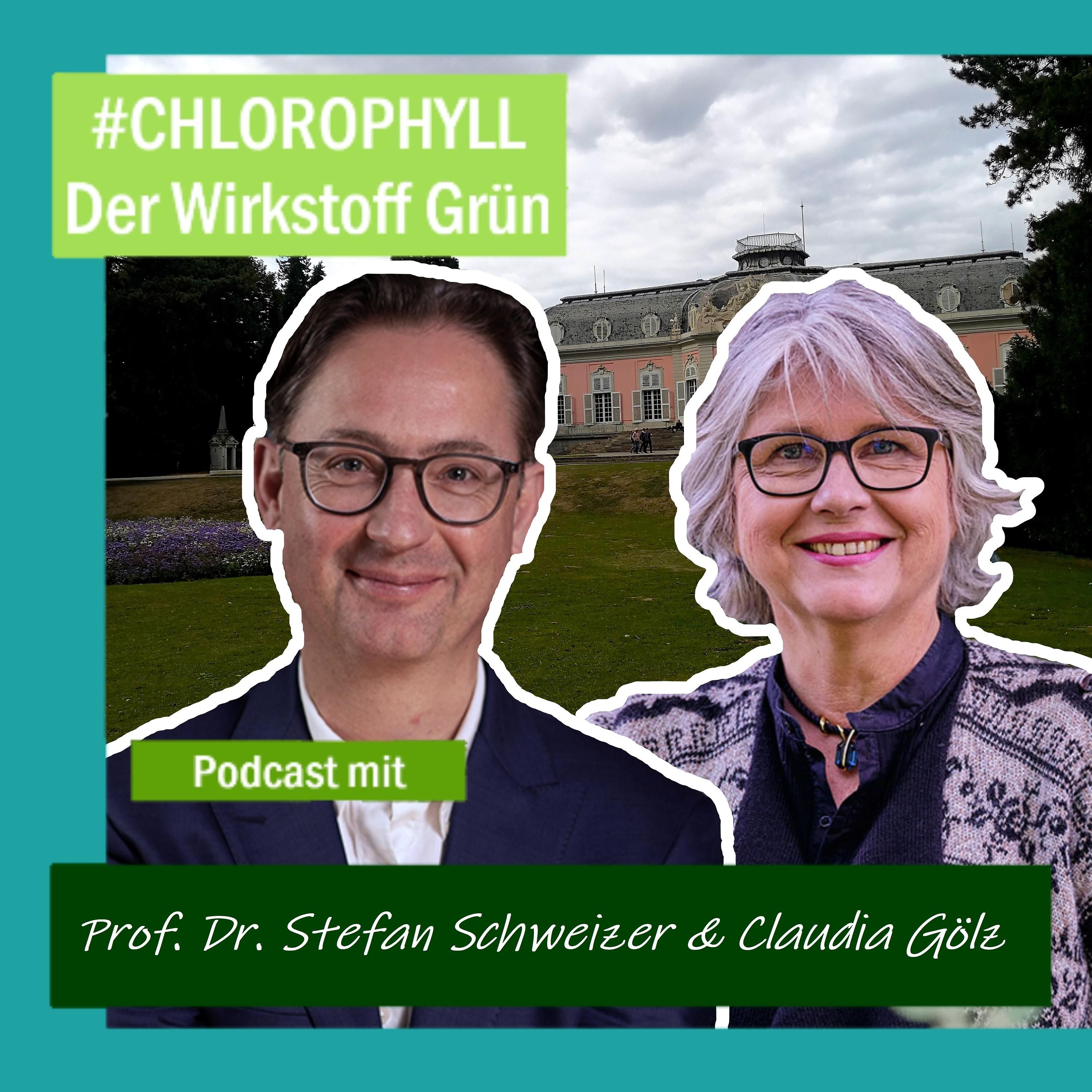 # 6 - Prof. Dr. Stefan Schweizer