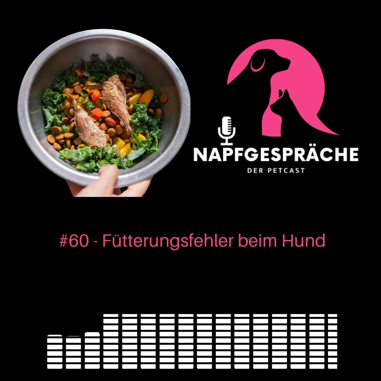 #60 - Fütterungsfehler beim Hund