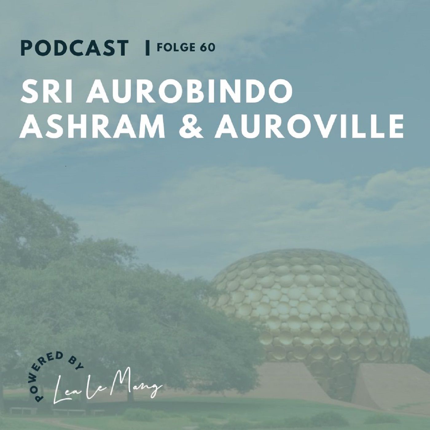 60 - Sri Aurobindo Ashram und Auroville