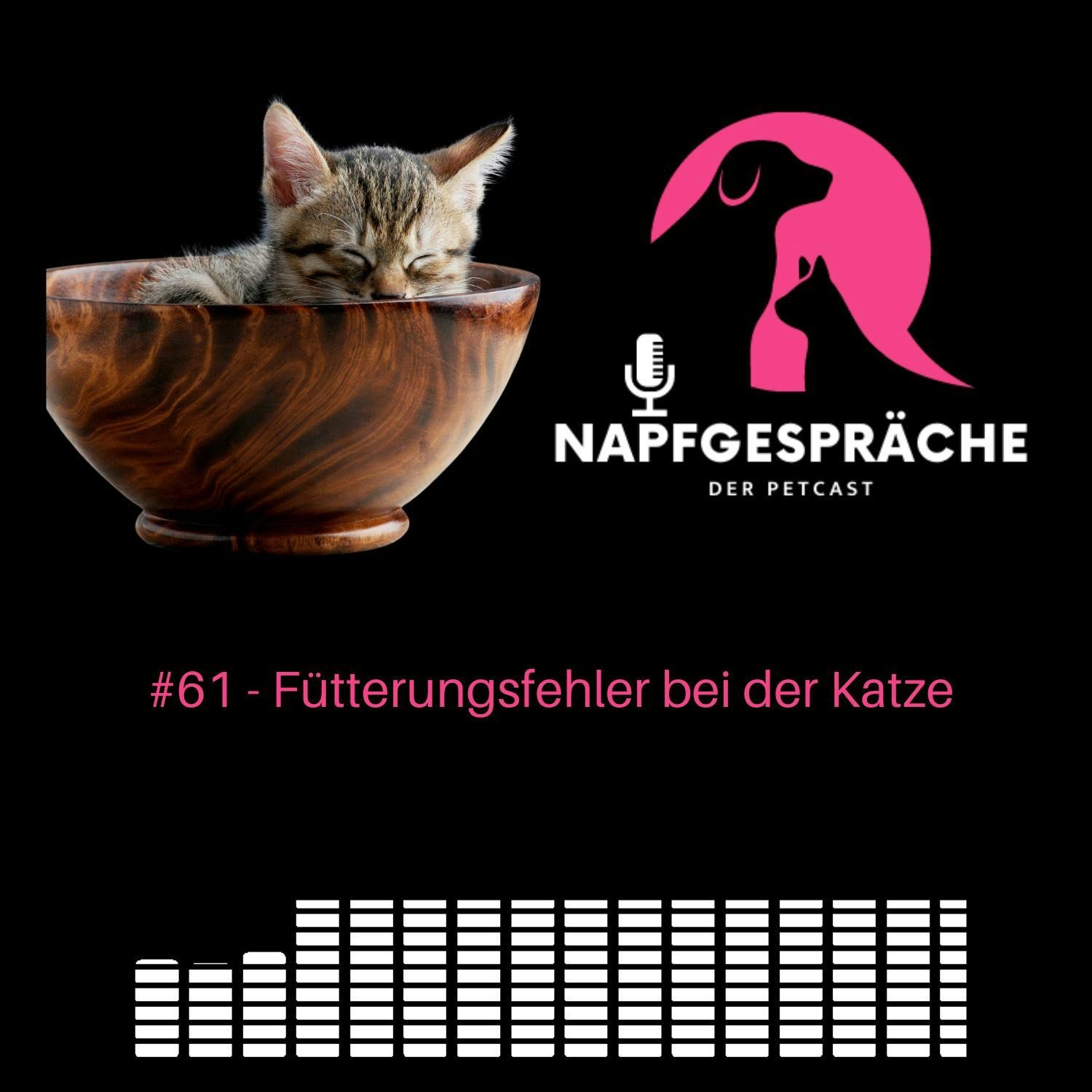 #61 - Fütterungsfehler bei der Katze