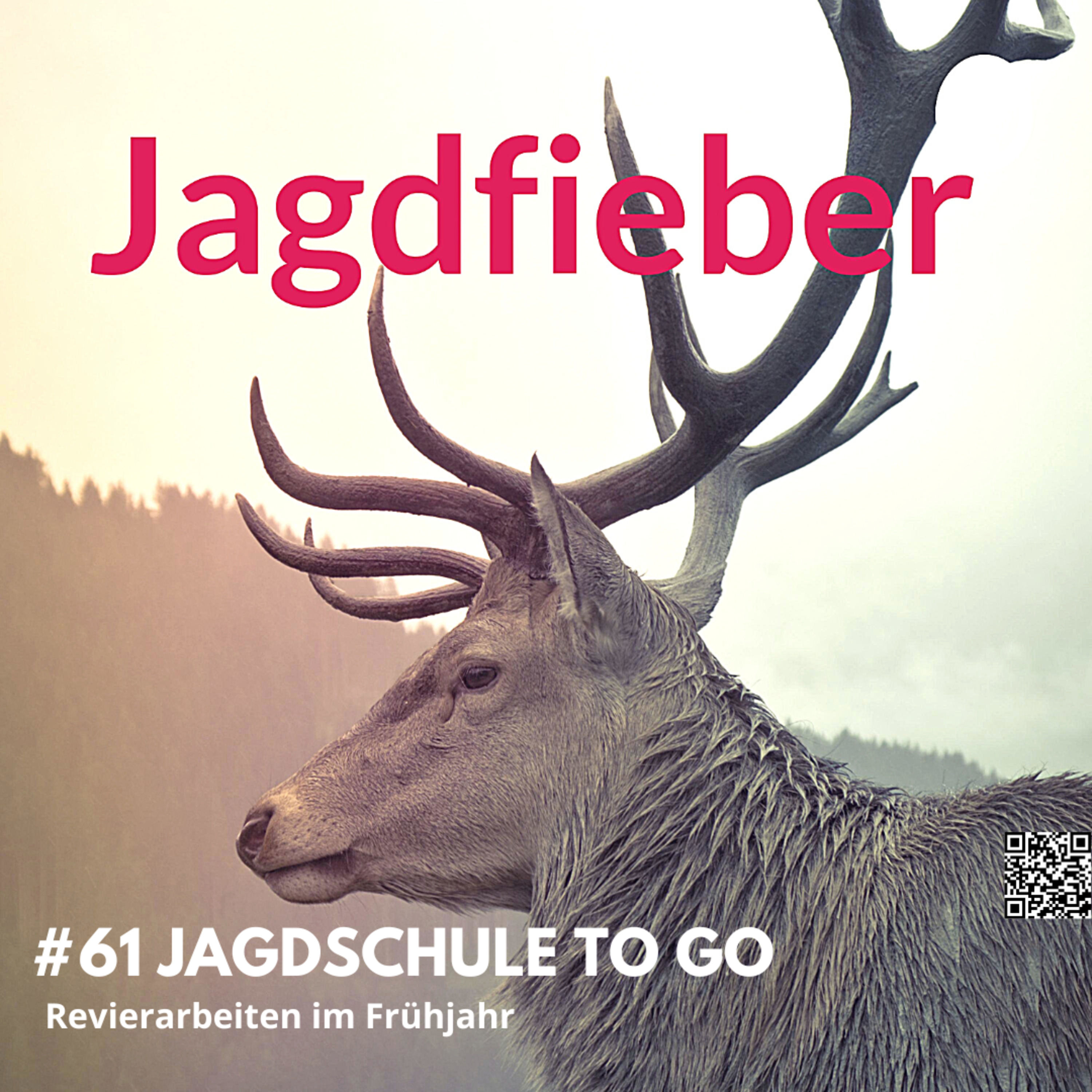 #61 Revierpflege im Frühling: Jäger im Einsatz für Wald und Wild