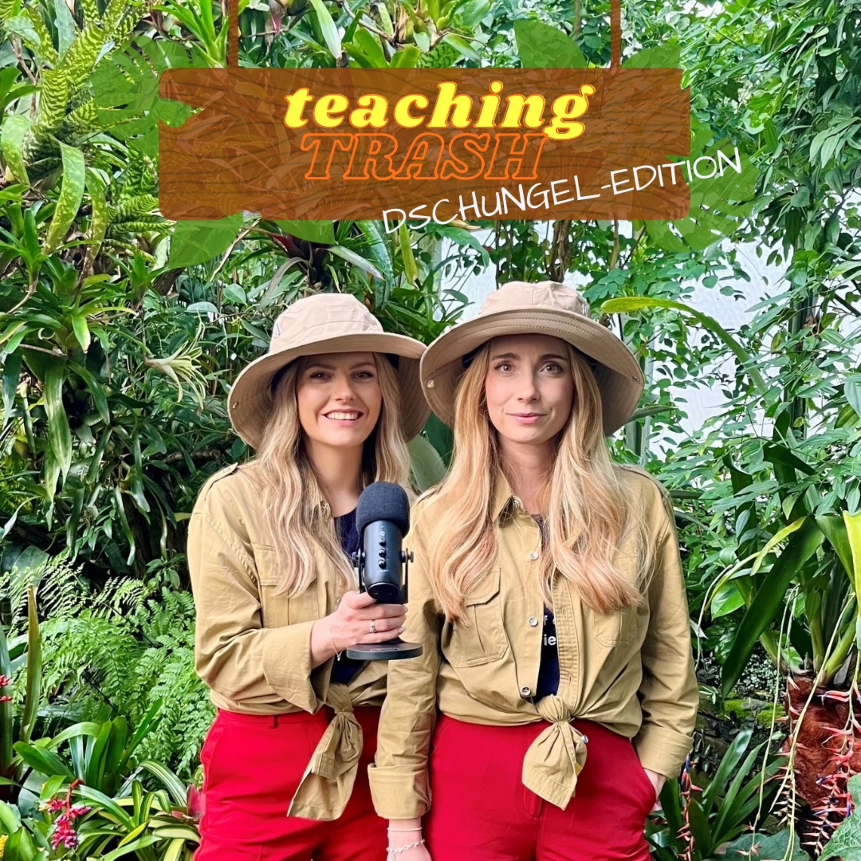 #63 Projektarbeit IBES - Abschluss mit Cornelius Strittmatter