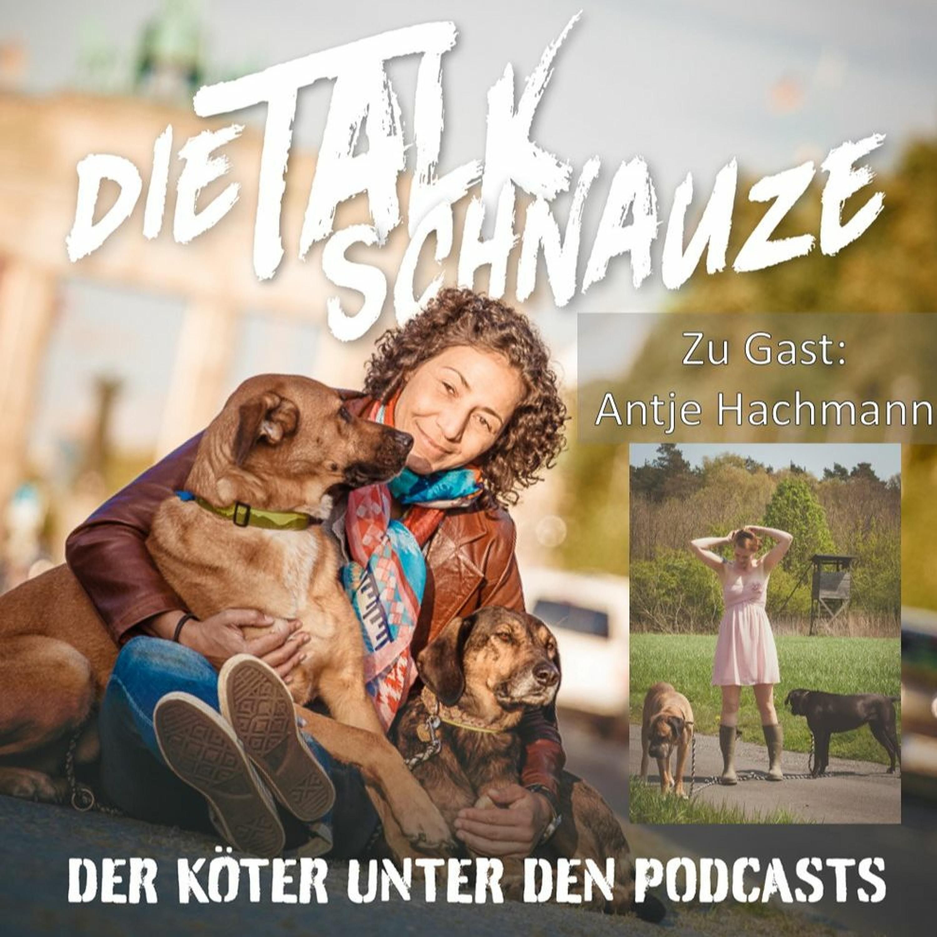 #64 Arschlochhund (mit Antje Hachmann)