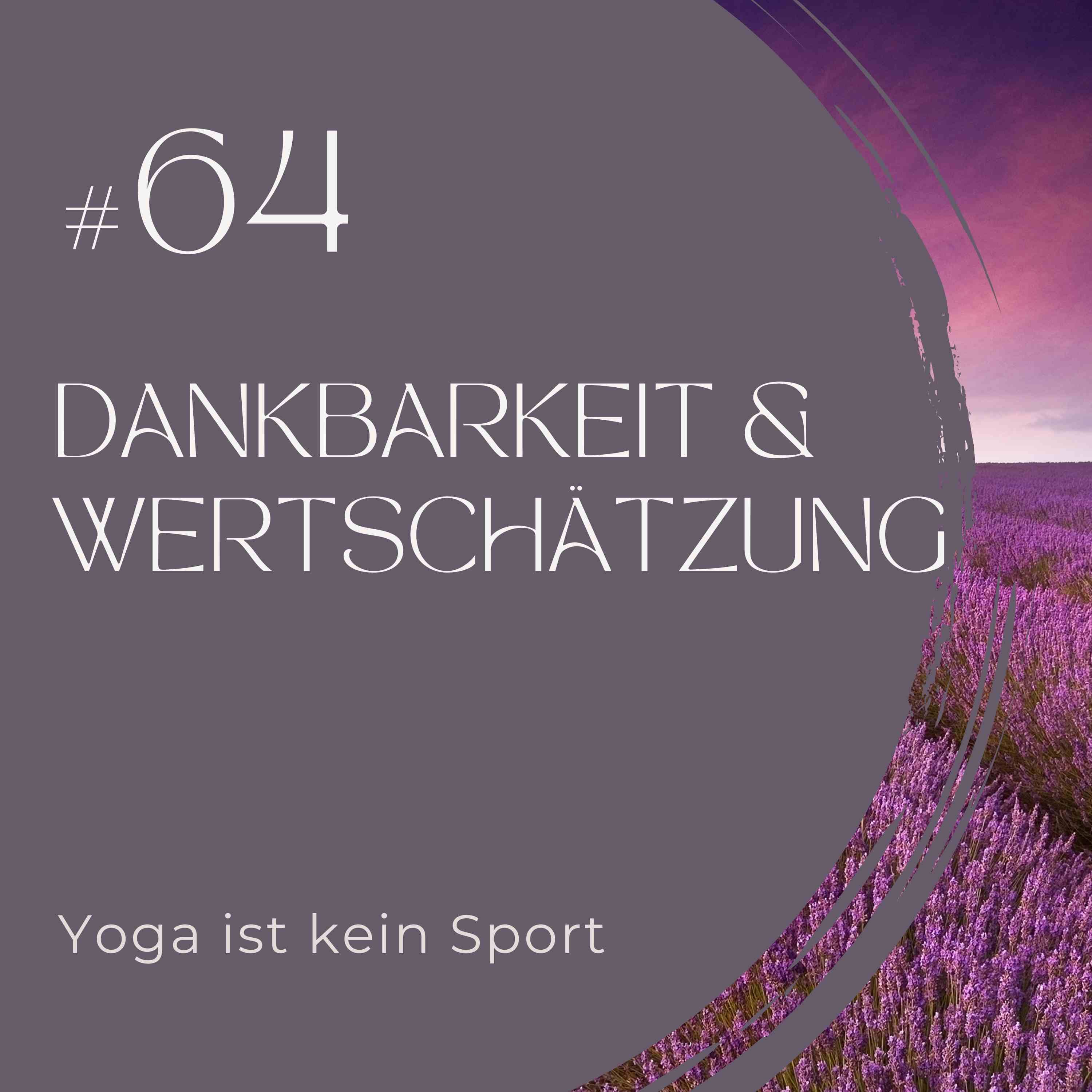 #64 Dankbarkeit & Wertschätzung