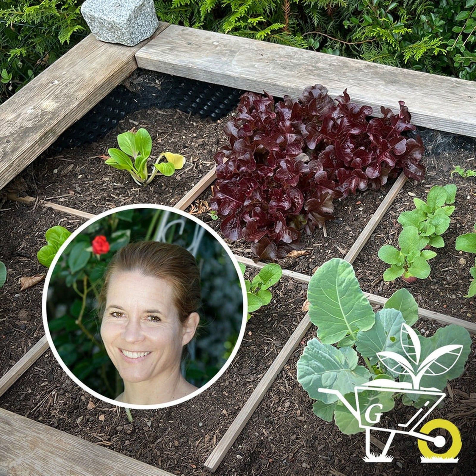 #64: Gärtnern im Quadrat - Square Foot Gardening
