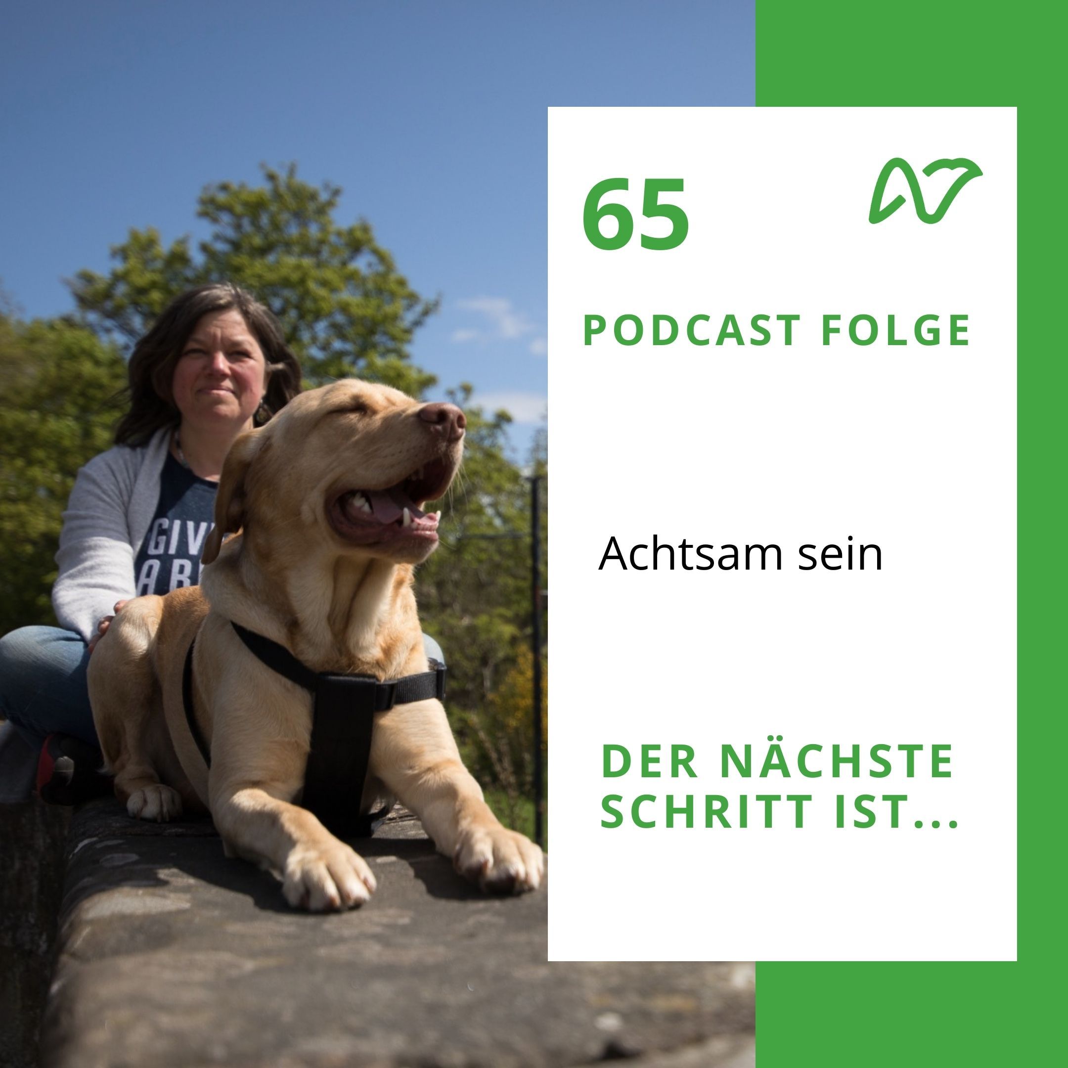 #65 Achtsam sein