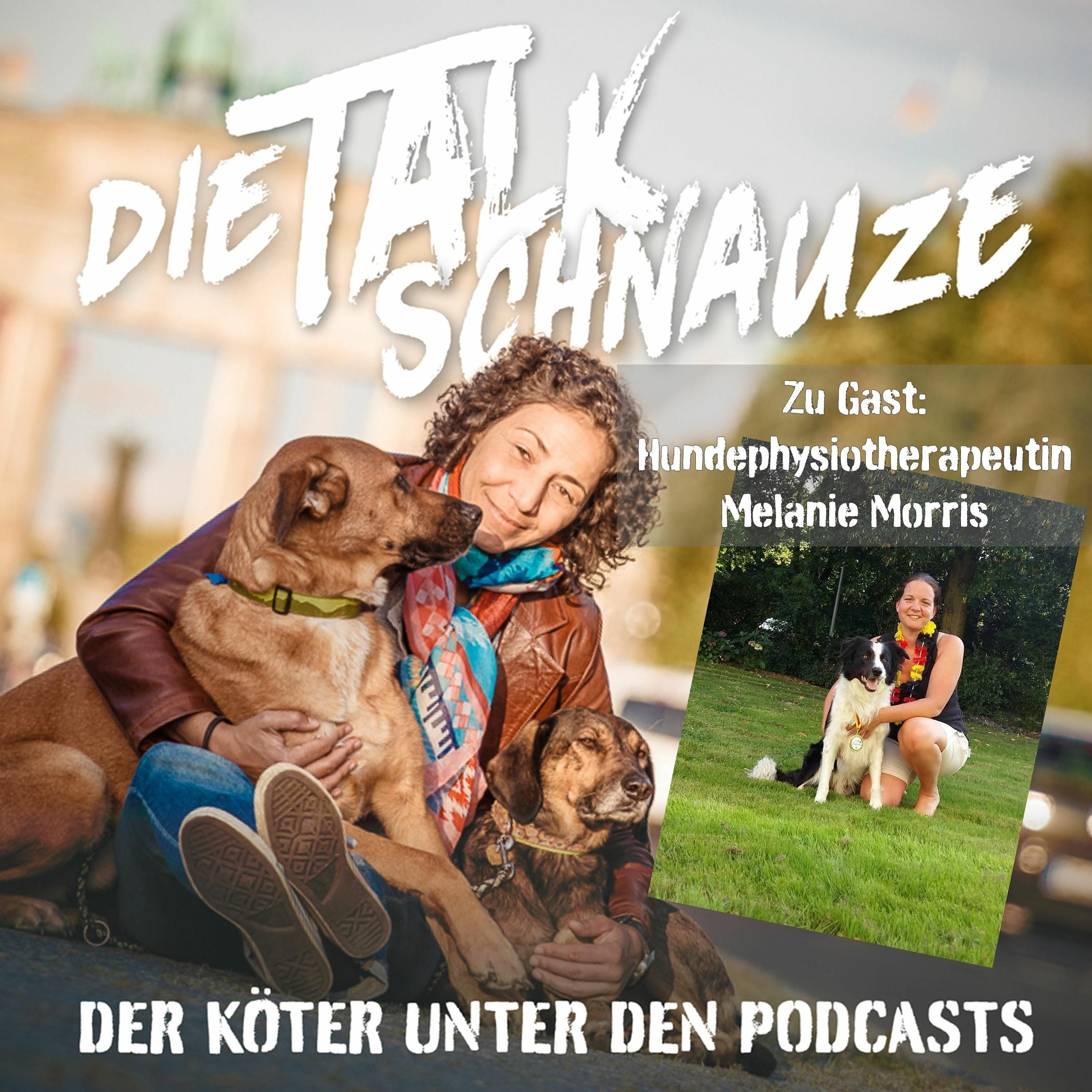 #65 Aus Aktuellem Anlass (mit Melanie Morris)