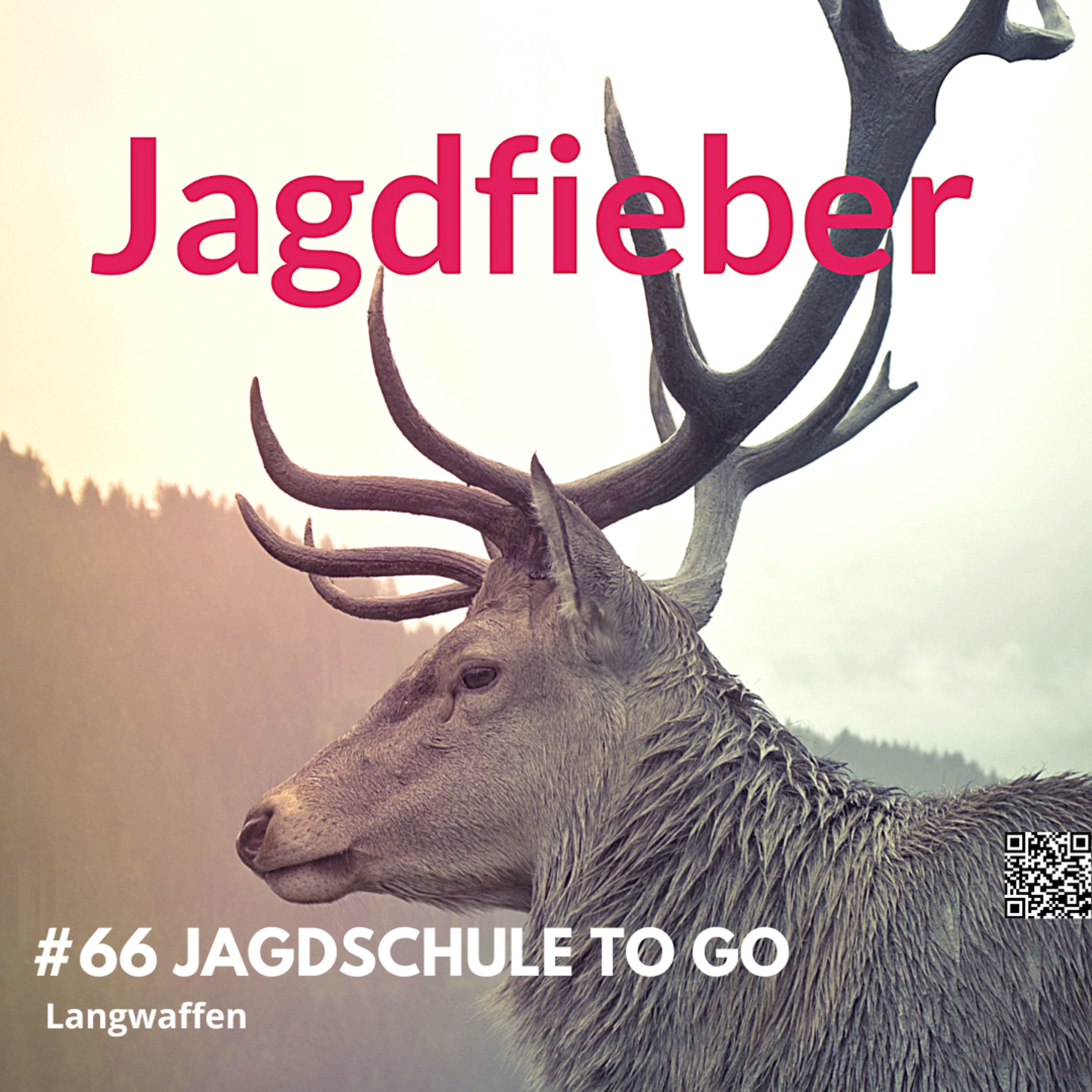 #66 Jagdschule to go Langwaffen