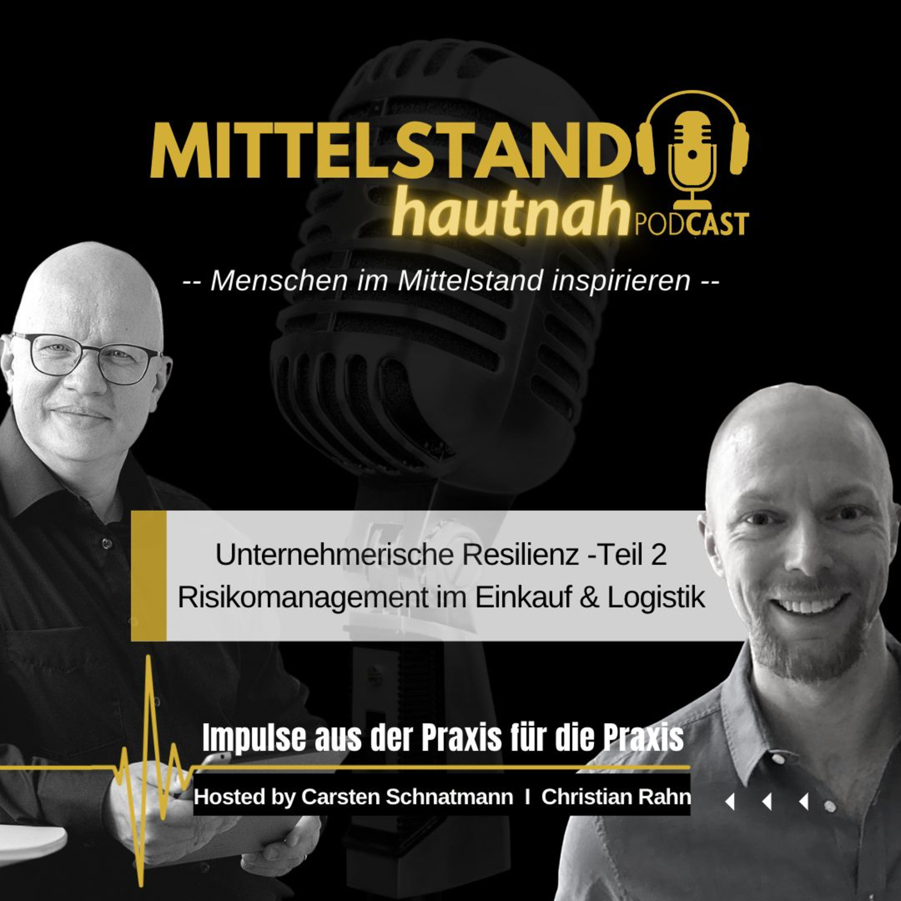 #67 Unternehmerische Resilienz - Teil 2: Risiko Management im Einkauf & Logistik