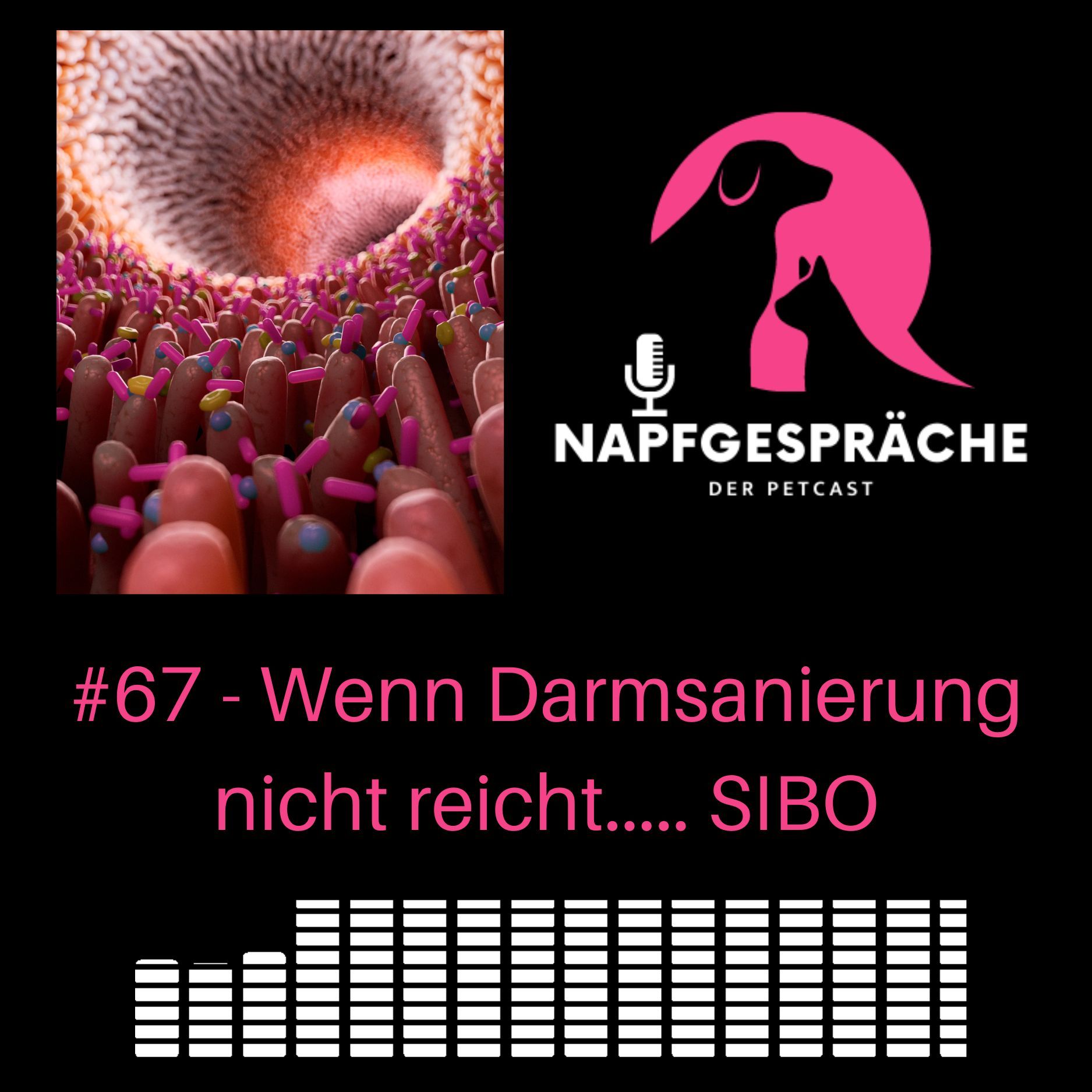 #67 - Wenn Darmsanierung nicht reicht...