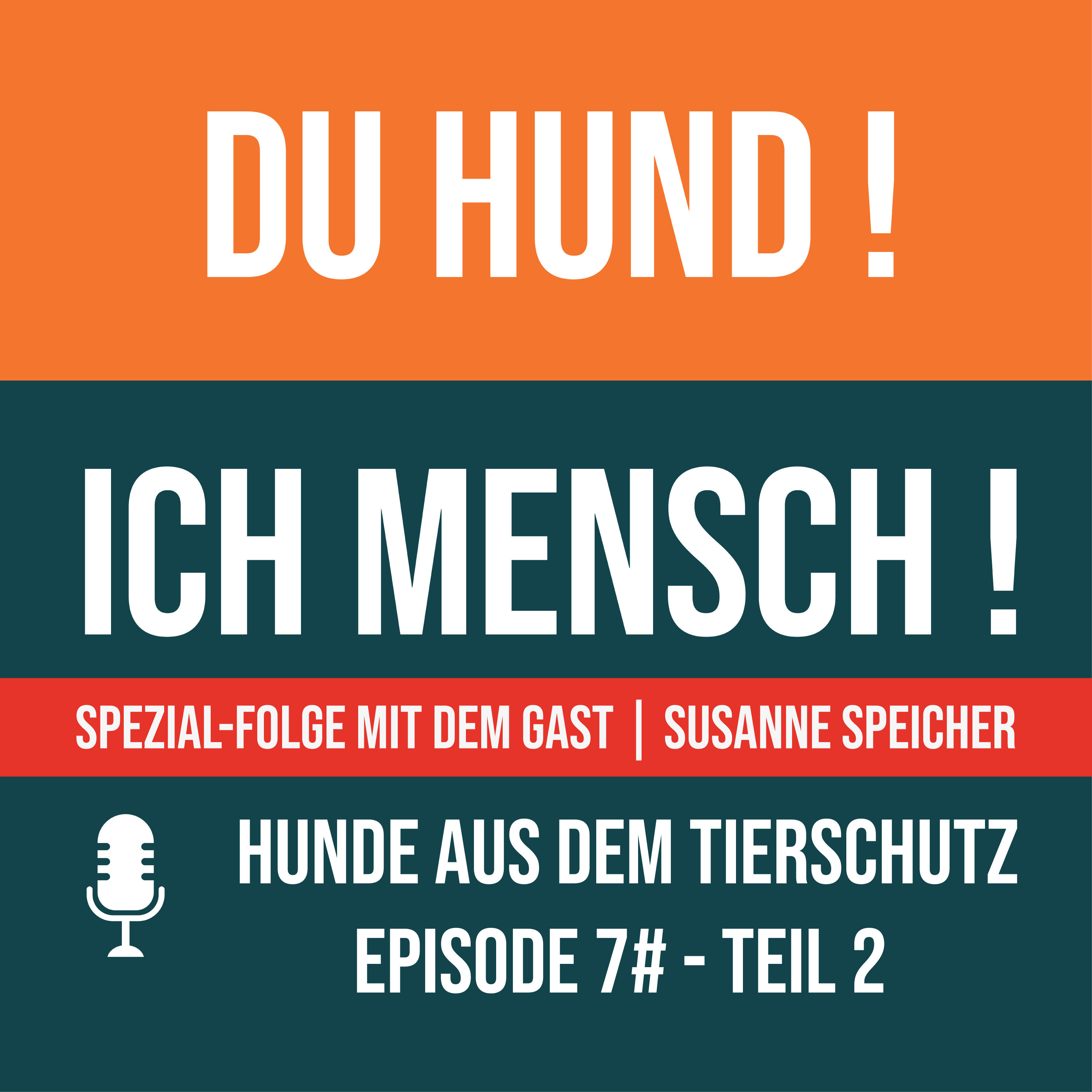 7# Hunde aus dem Tierschutz Teil 2