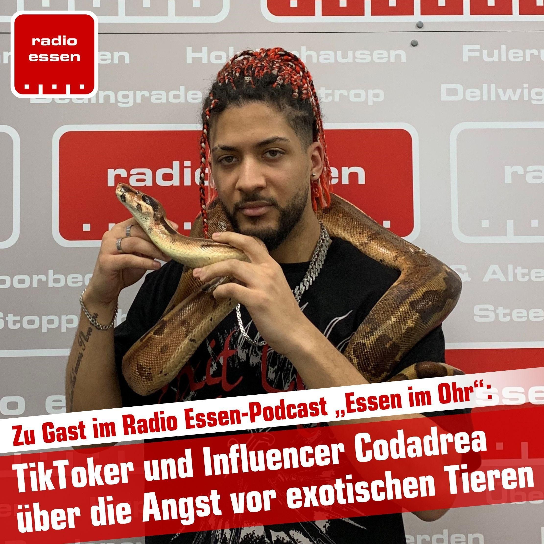 #70 mit Spinnen-Influencer Codadrea