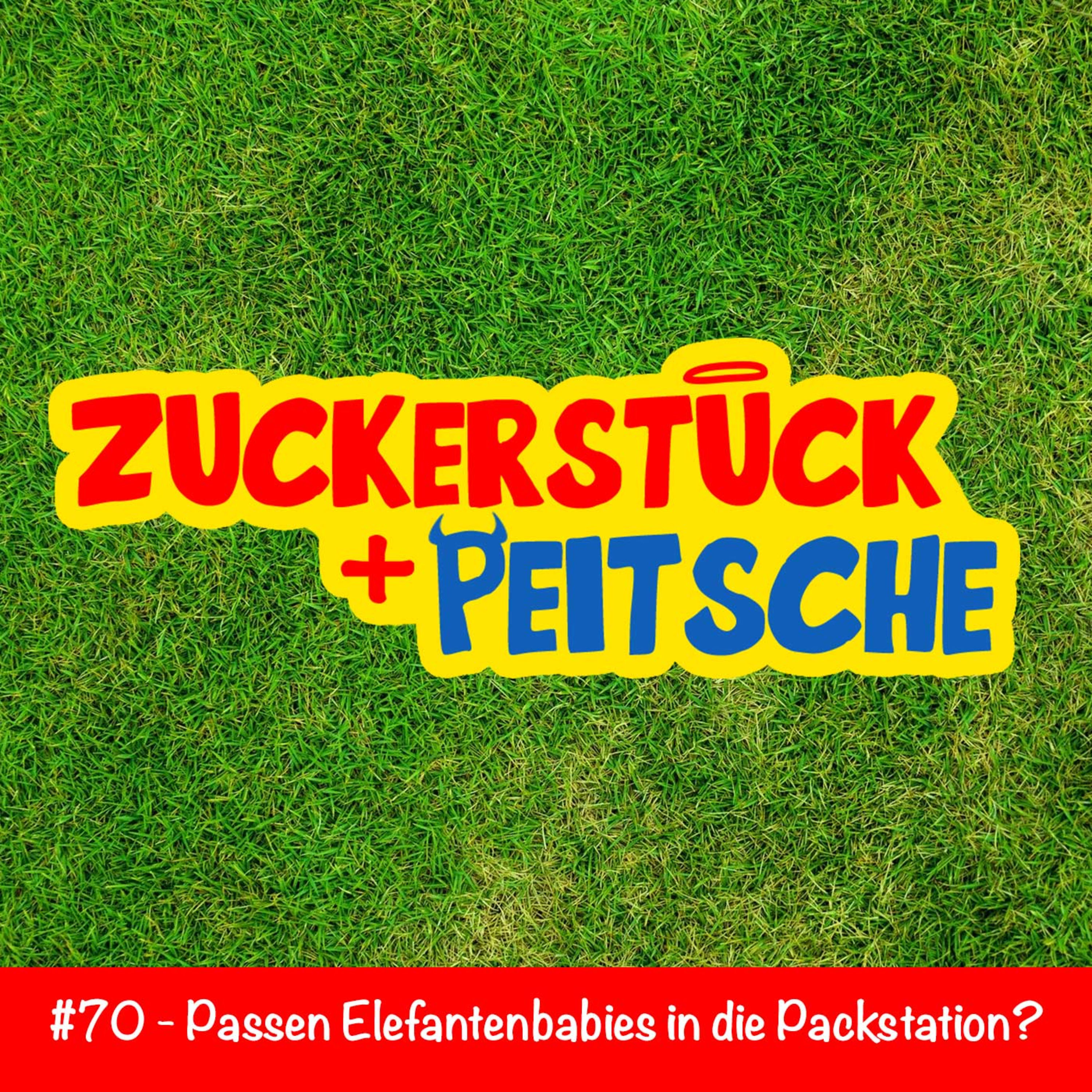 #70 – Passen Elefantenbabies in die Packstation?