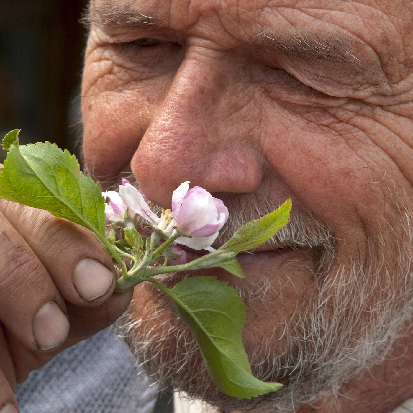 700.000 Bäume gegen den Weltuntergang - Die Kirchen und der Klimaschutz