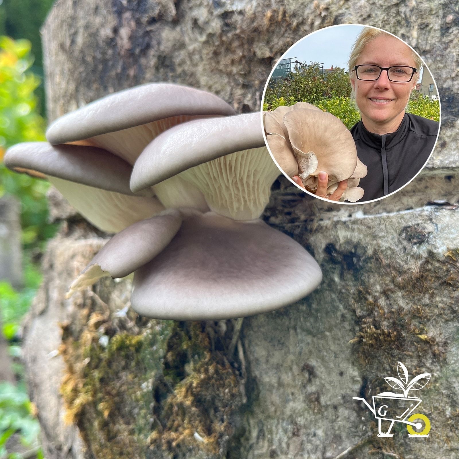 #71: Pilze im Garten anbauen