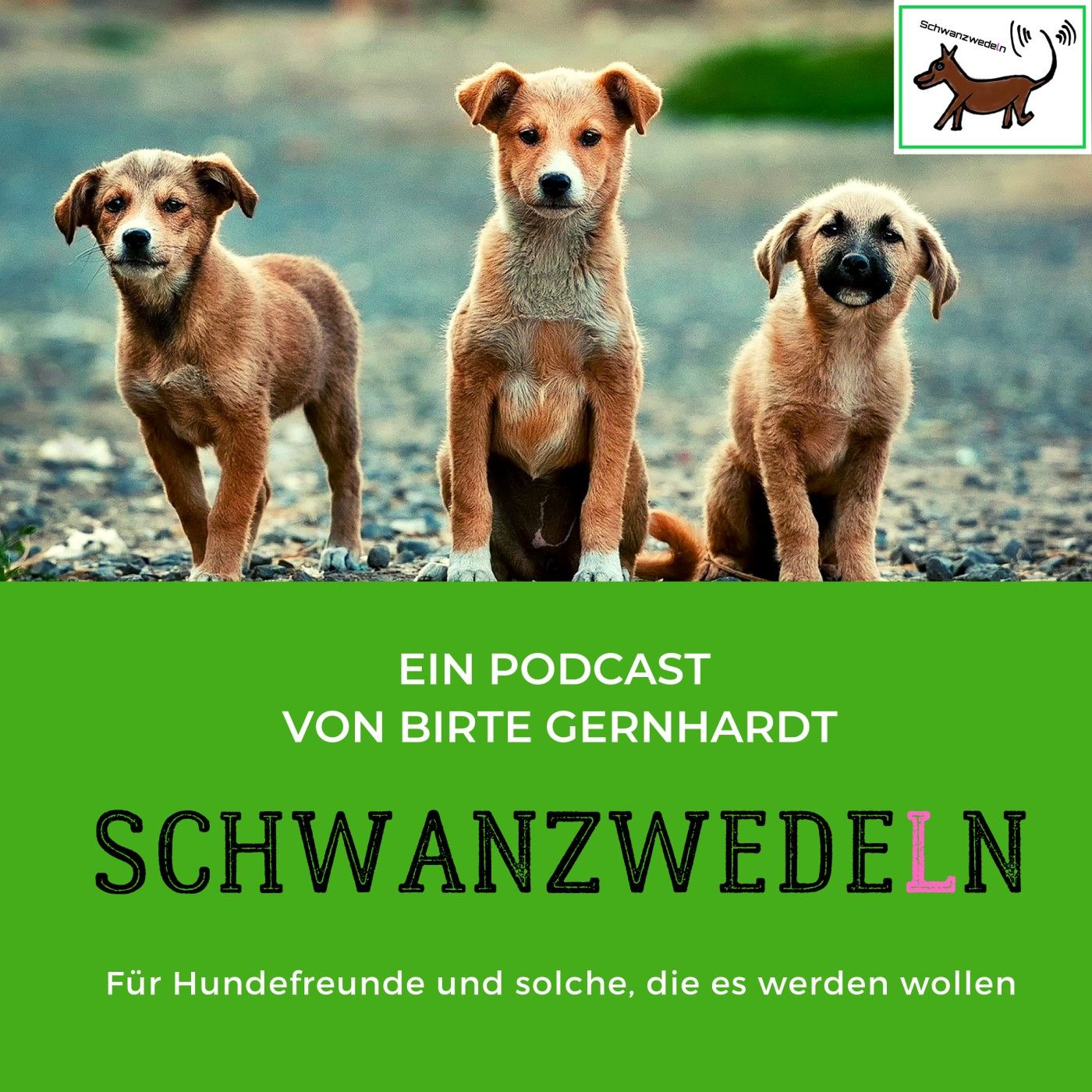 Mit Hund im Auto - VIER PFOTEN Stiftung für Tierschutz in Deutschland
