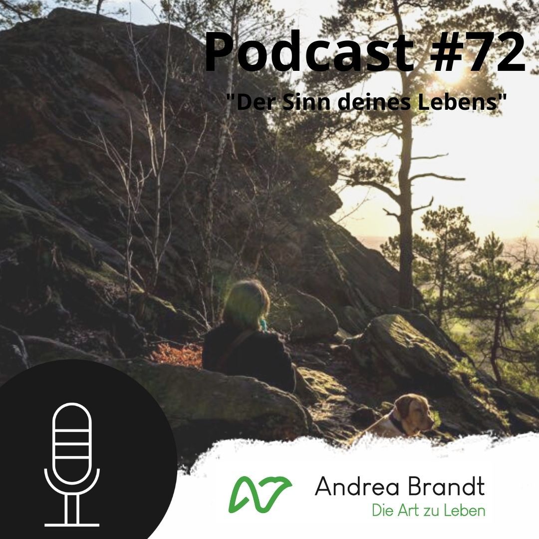 #72 Der Sinn deines Lebens