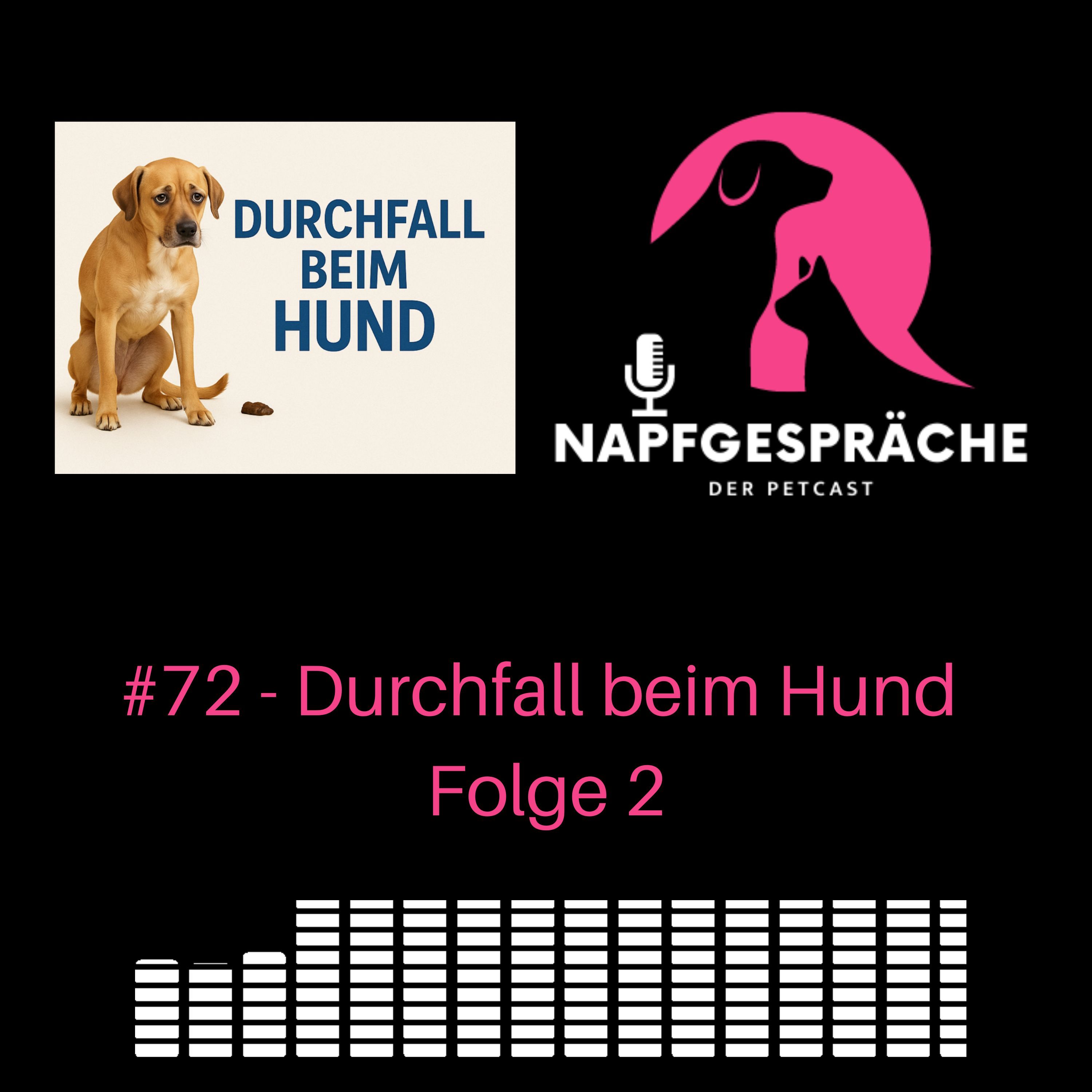 #72 - Durchfall beim Hund Teil2