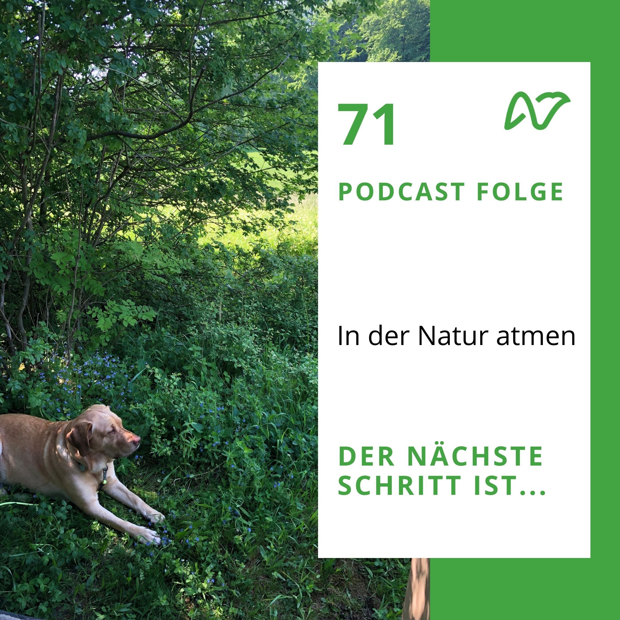 #72 In der Natur atmen