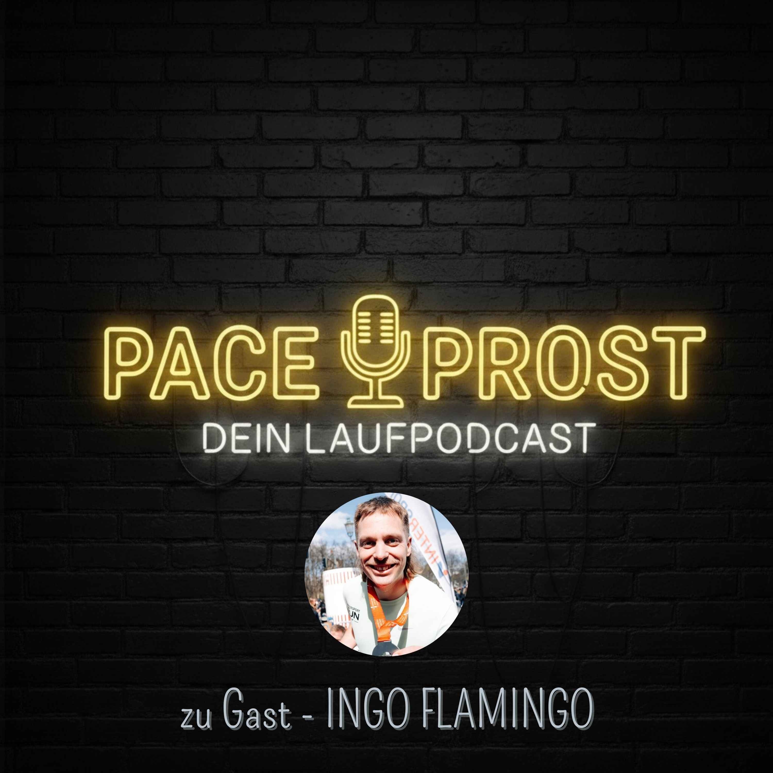 72 Kilometer durchs Dorf – mit Ingo Flamingo