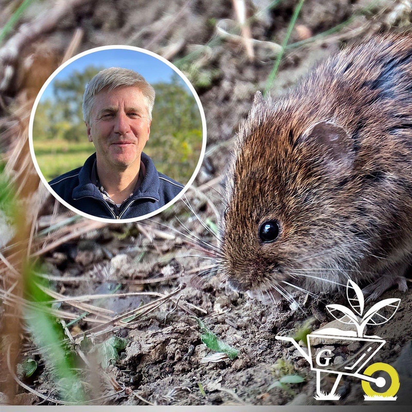 #72: Wühlmäuse im Garten