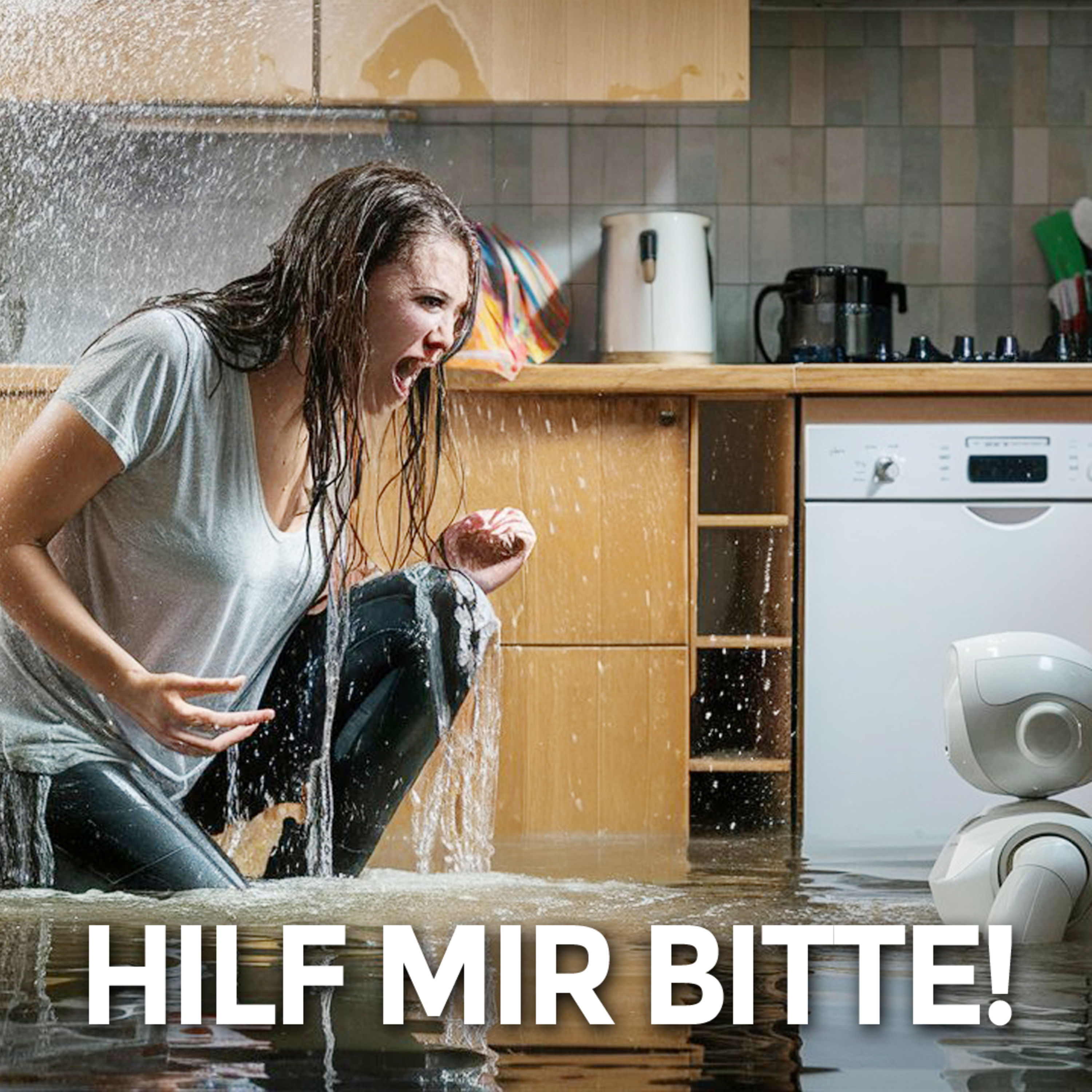 #73 - Wenn dein KI-Vermieter dich abmahnt | (Minifolge - Sommerpause)