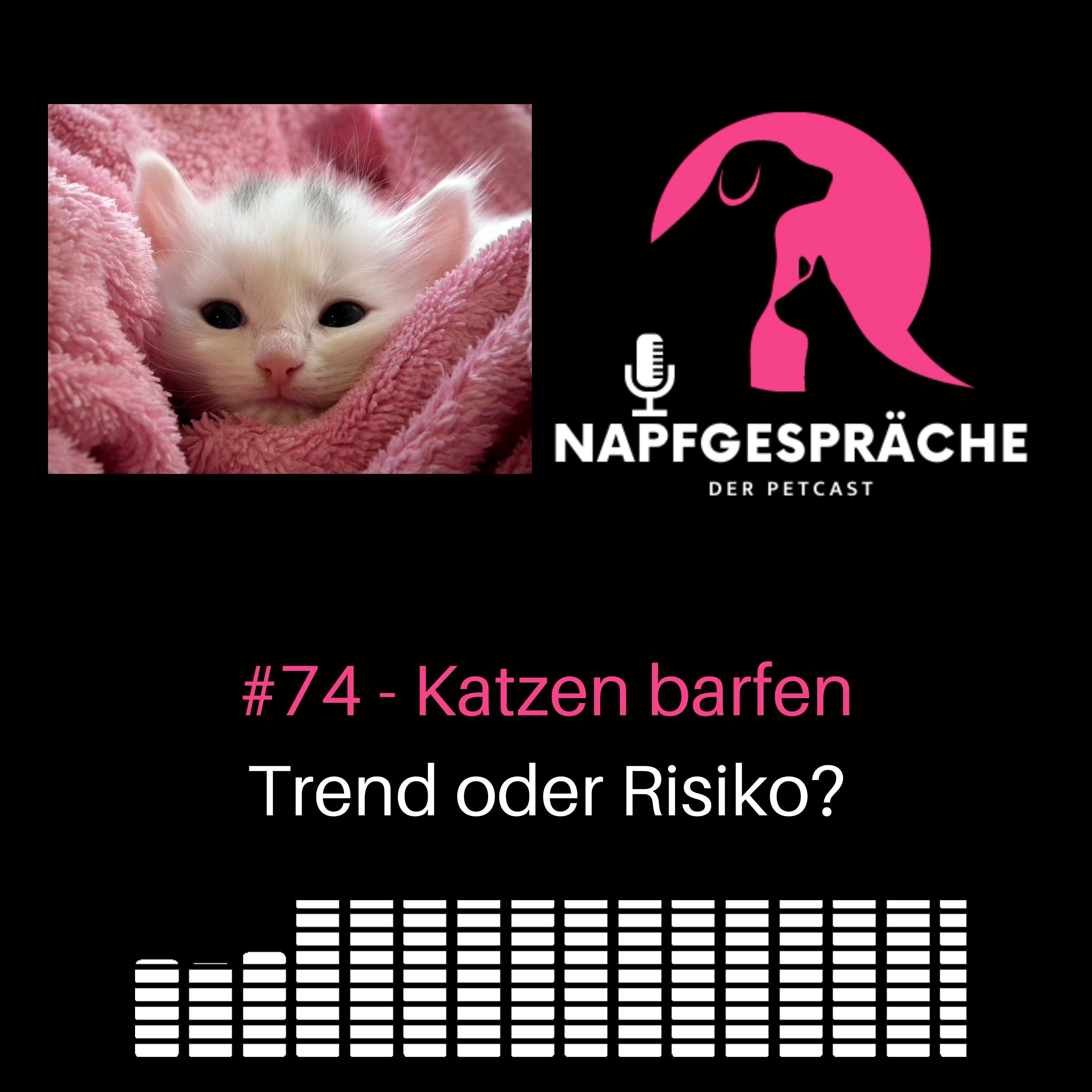 #74 - Katzen barfen