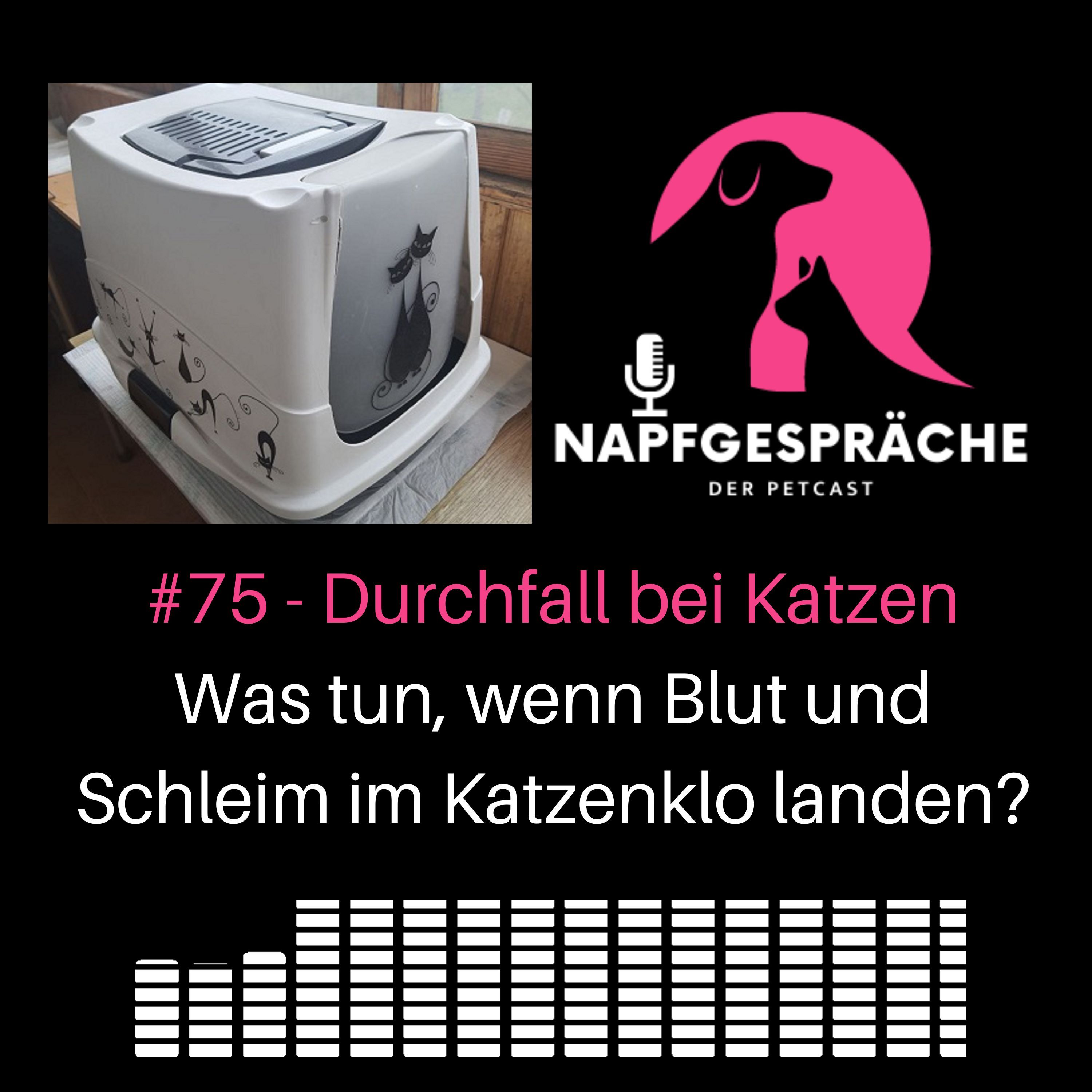 #75 - Durchfall bei Katzen