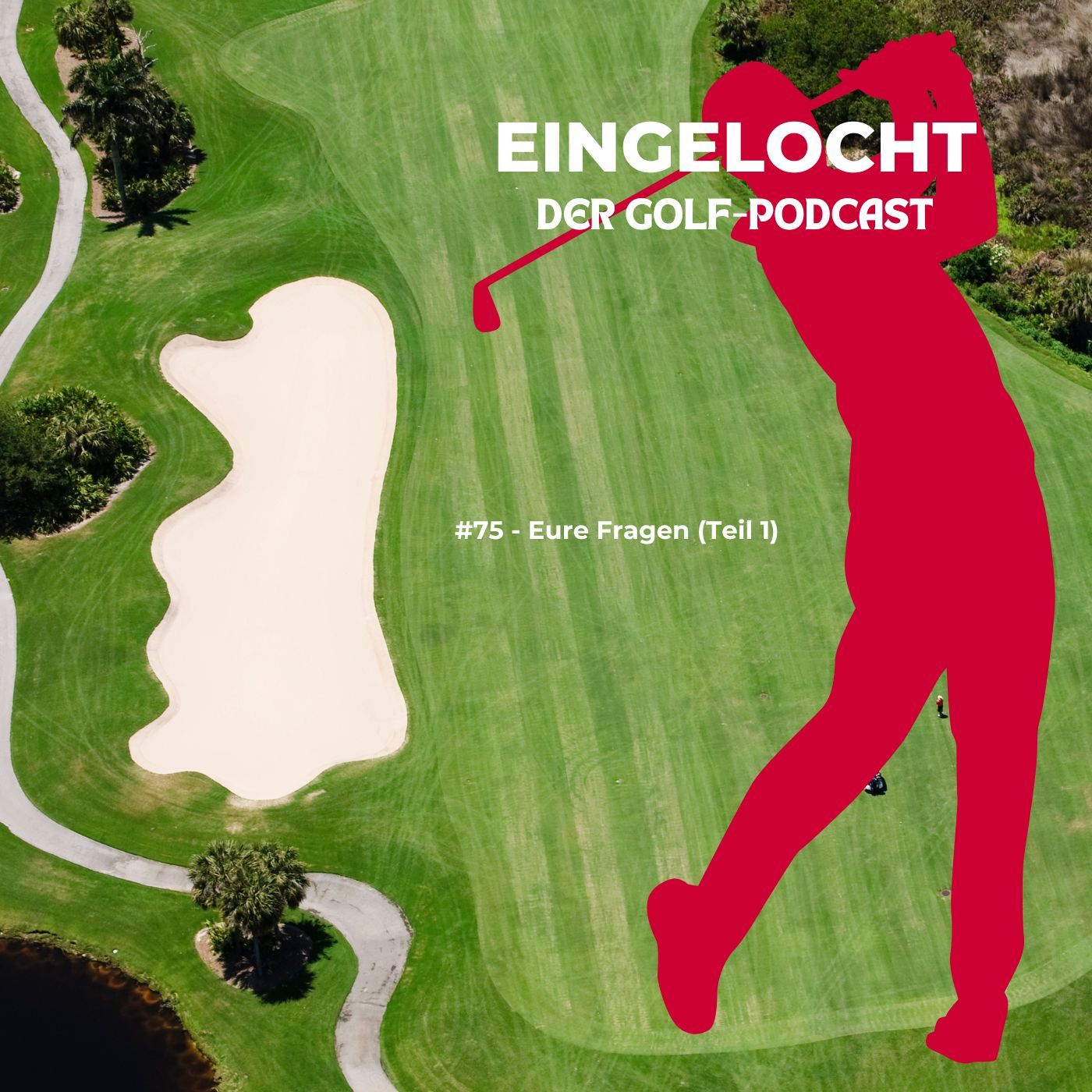 #75 - Eure Fragen, Teil 1 (7.11.2025)