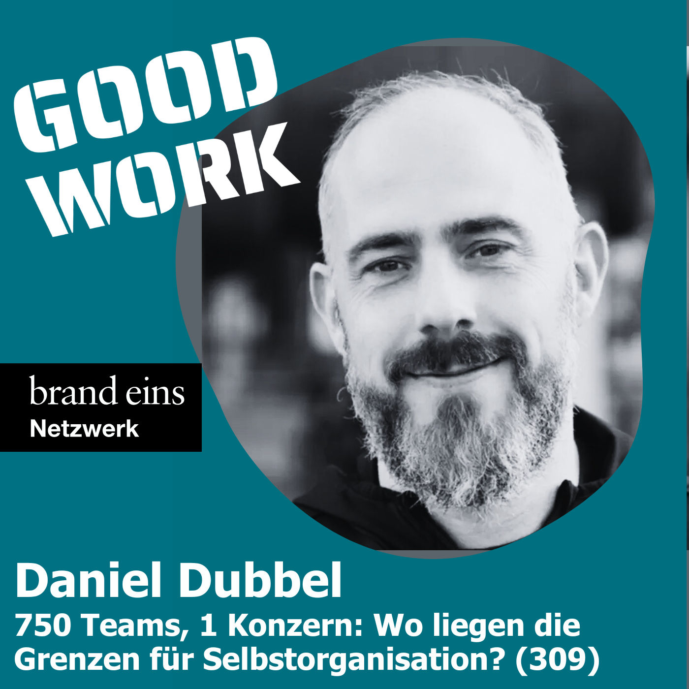 750 Teams, 1 Konzern: Wo liegen die Grenzen für Selbstorganisation? Daniel Dubbel (309)