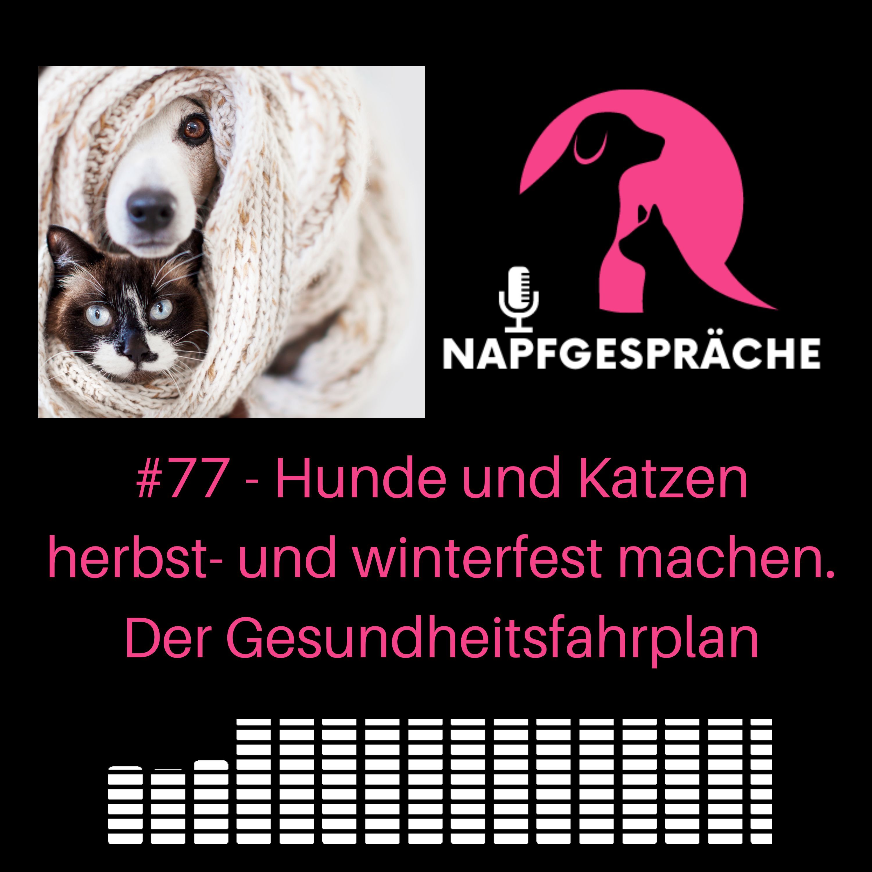 #77 - Hunde und Katzen herbst- und winterfest machen