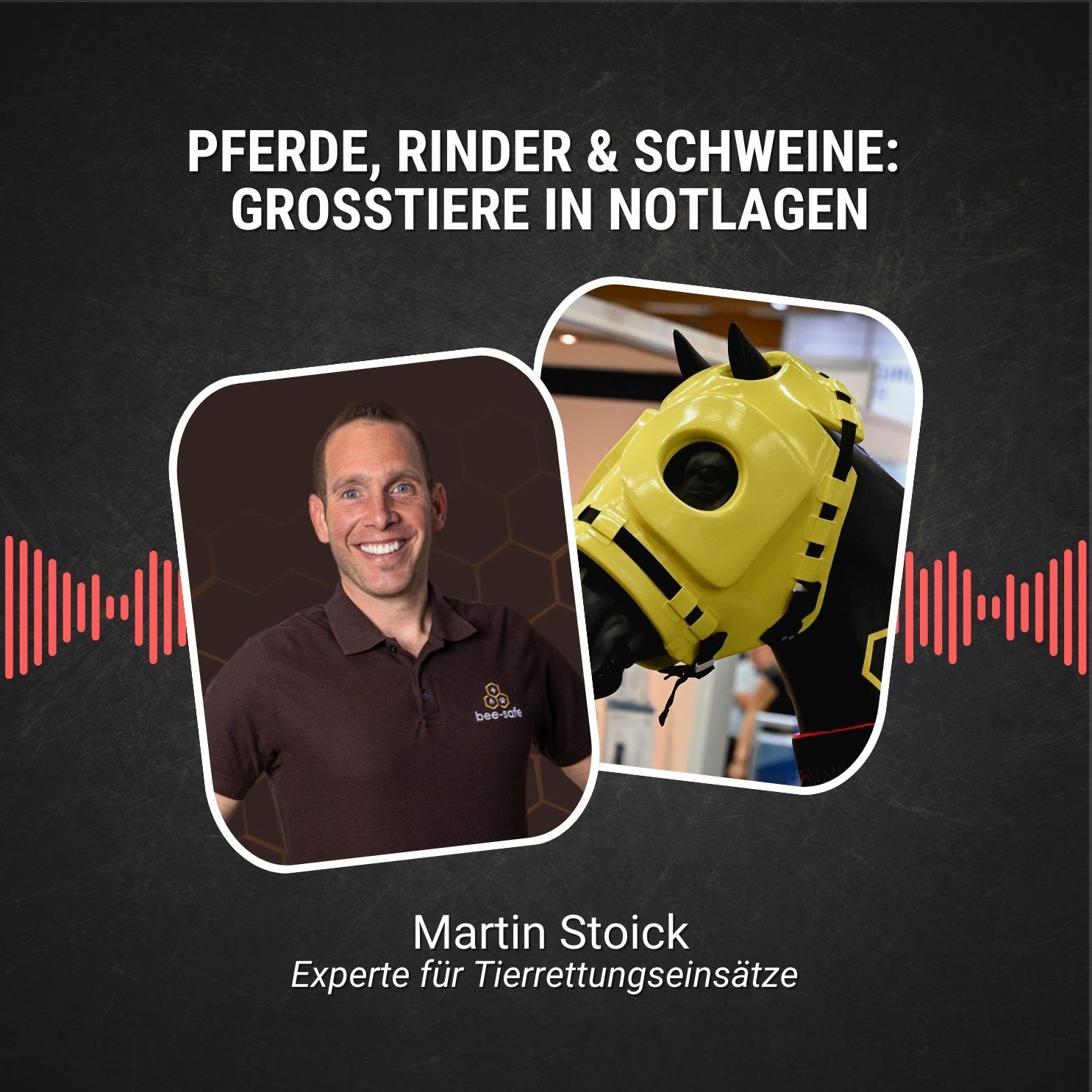 #79: Pferde, Rinder & Schweine: Großtiere in Notlage