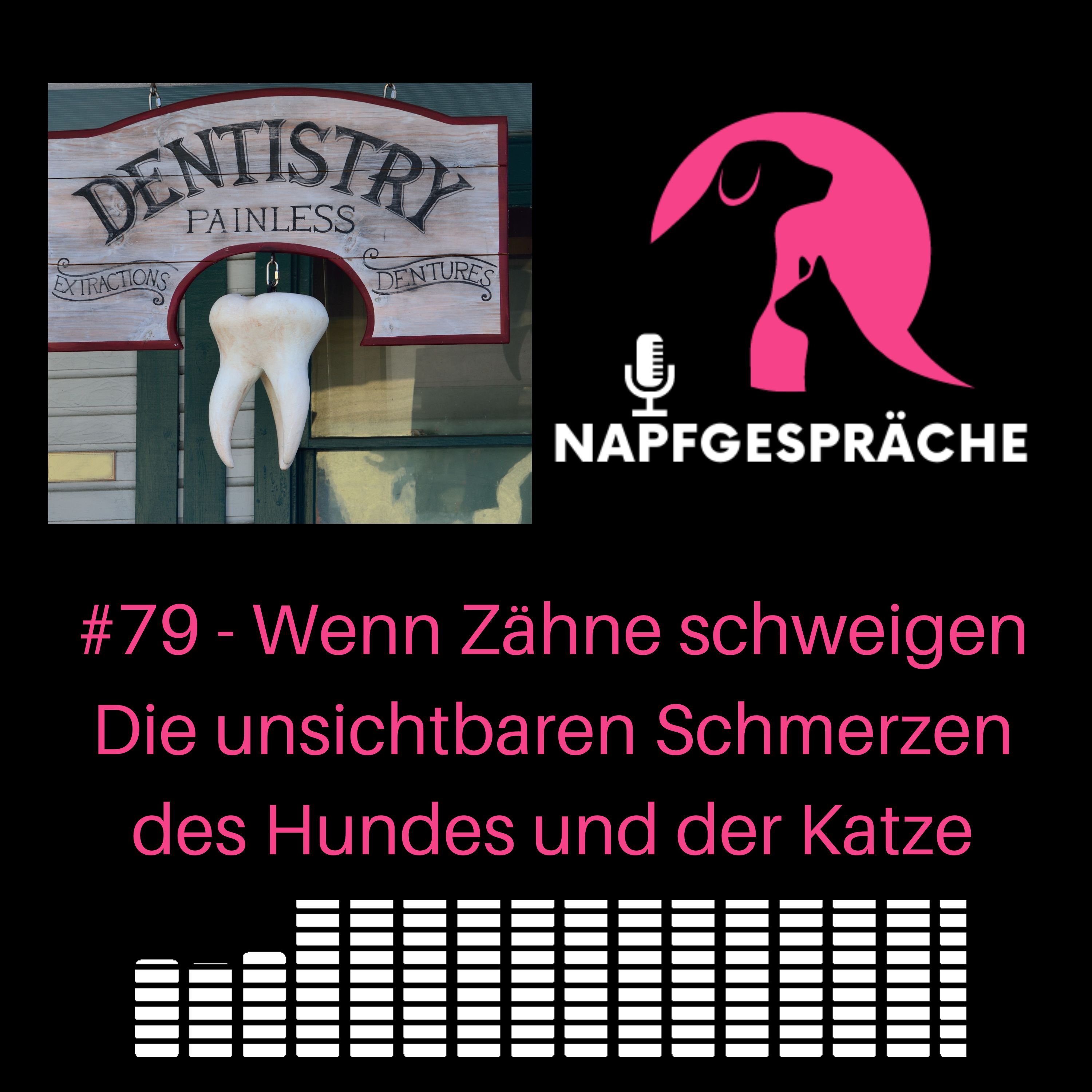 #79 - Wenn Zähne schweigen