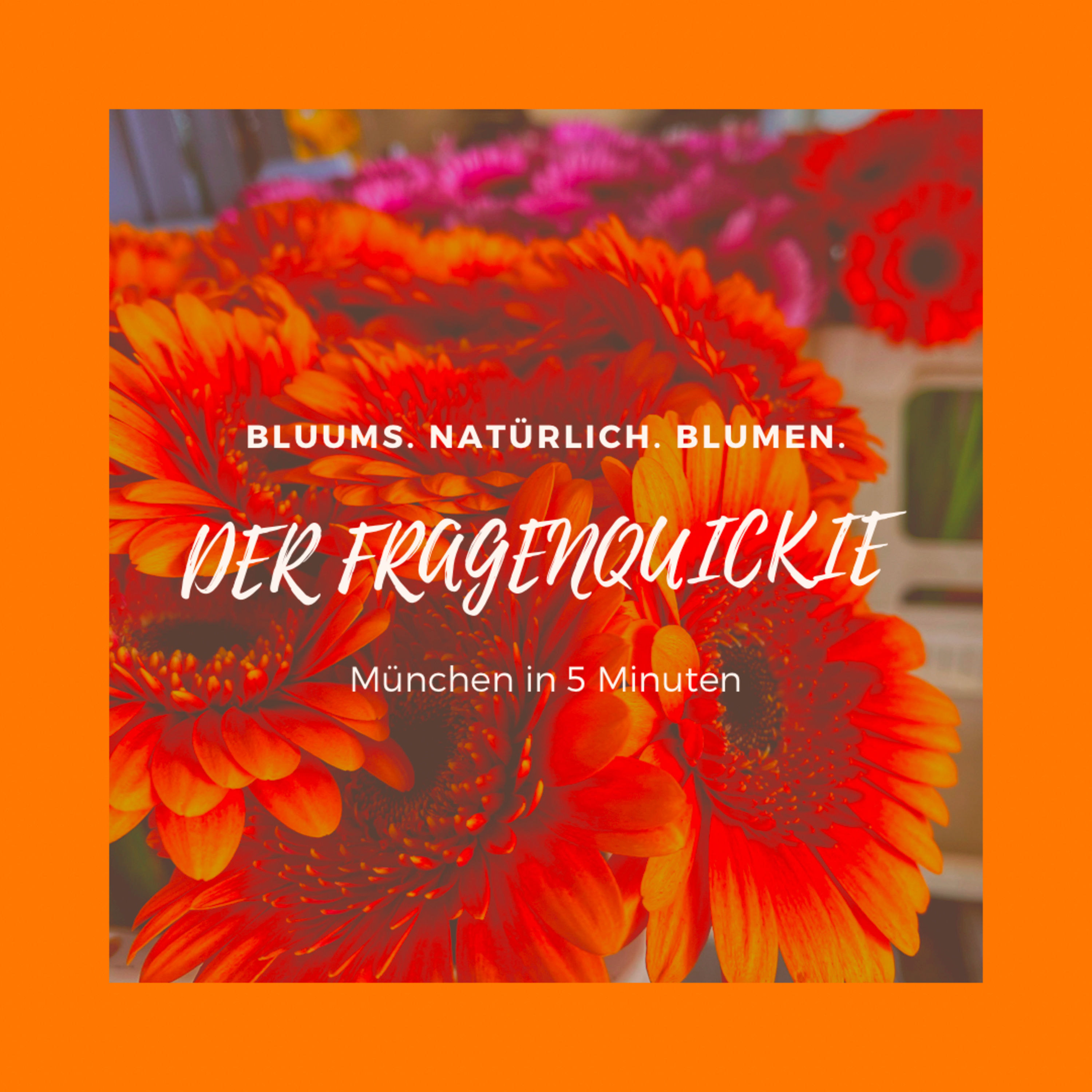 #8: Der Fragenquickie mit Bluums. Natürlich. Blumen.