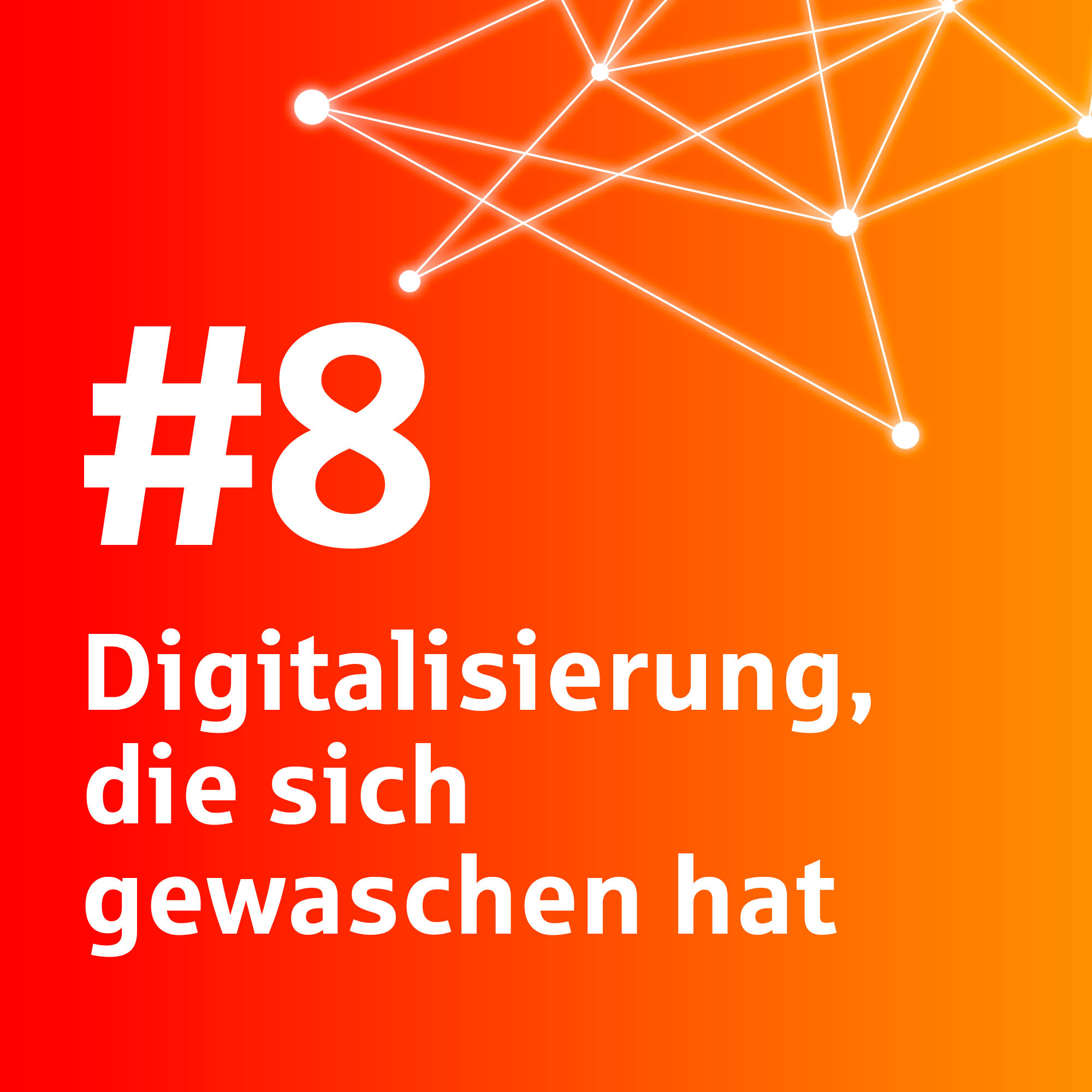 #8 Digitalisierung, die sich gewaschen hat (Mr. Wash)