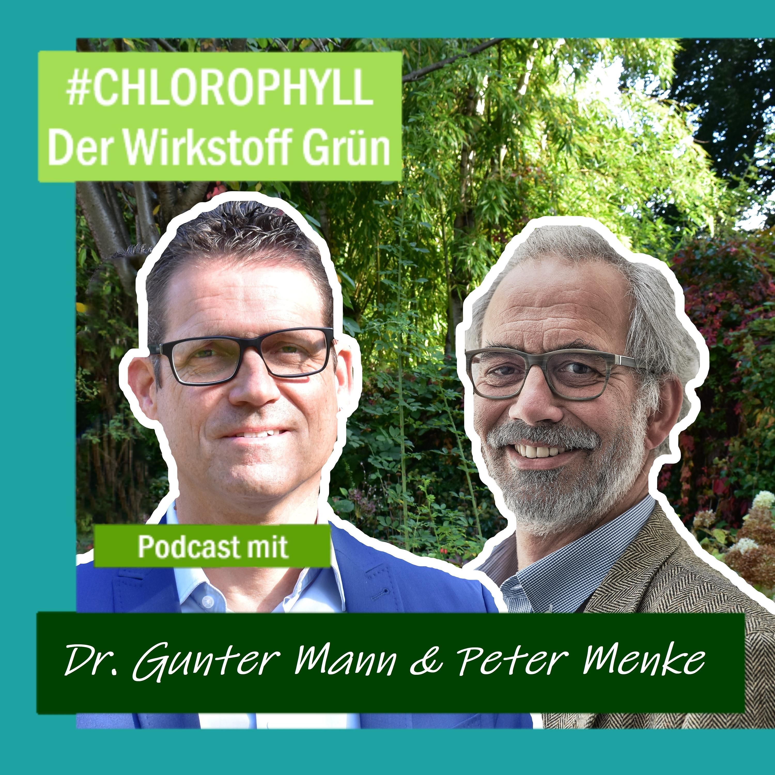 # 8 - Dr. Gunter Mann vom BuGG