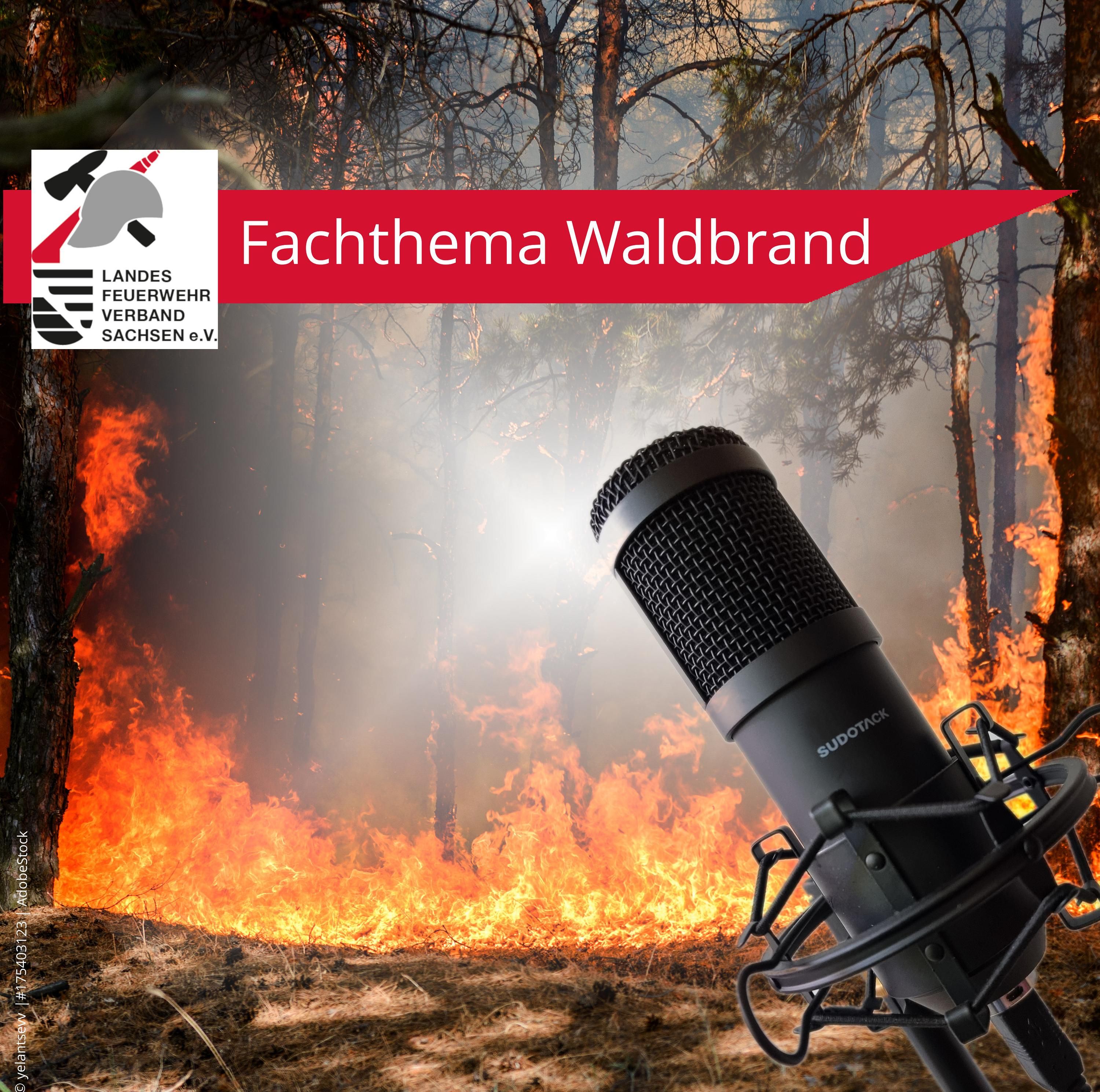 8. Folge - Fachthema Waldbrand