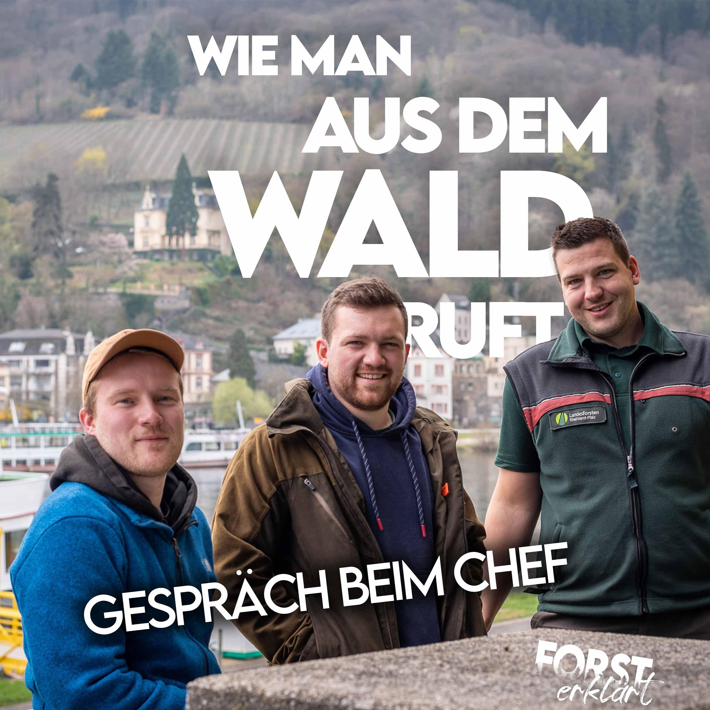 #8 Gespräch beim Chef