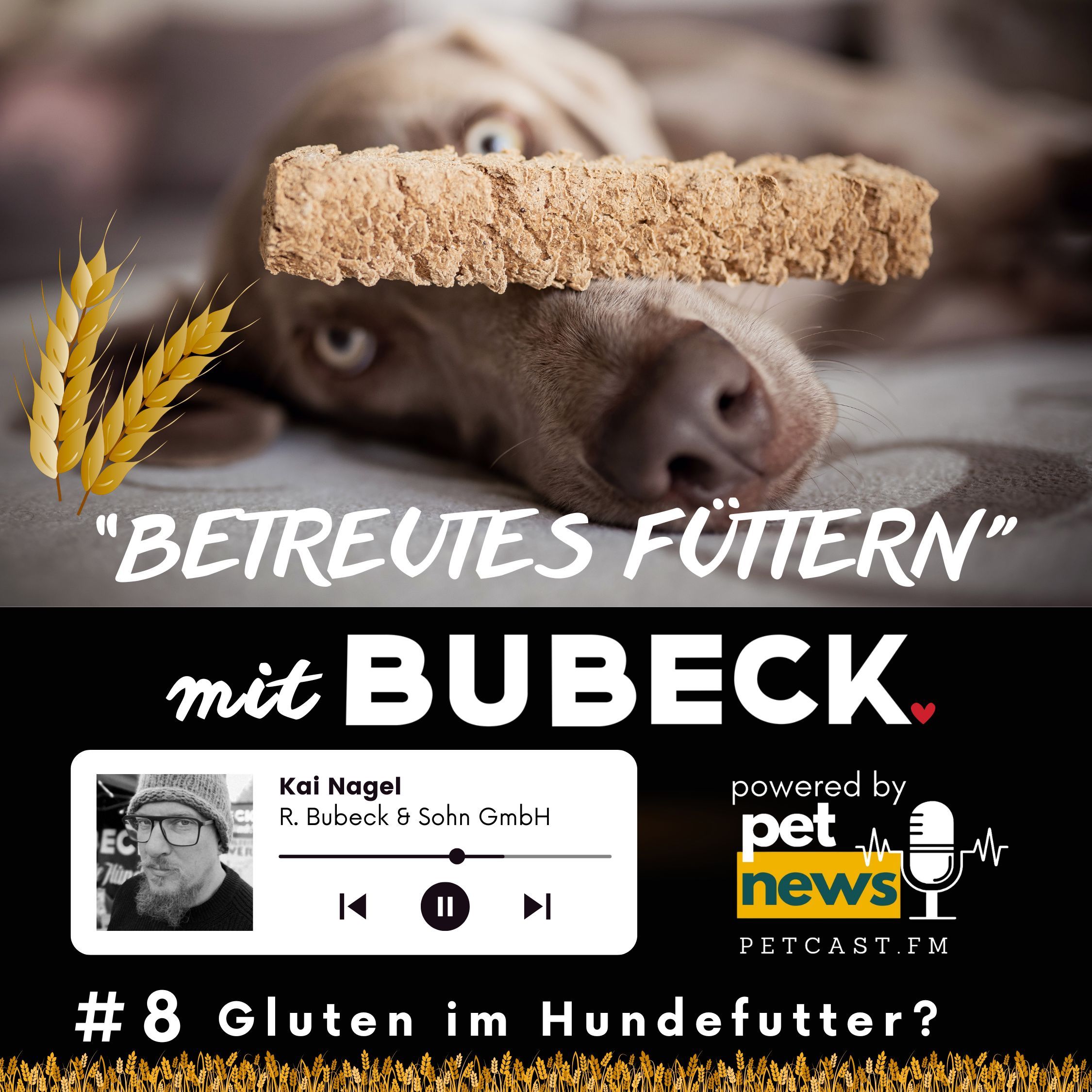 #8 - Gluten im Hundefutter