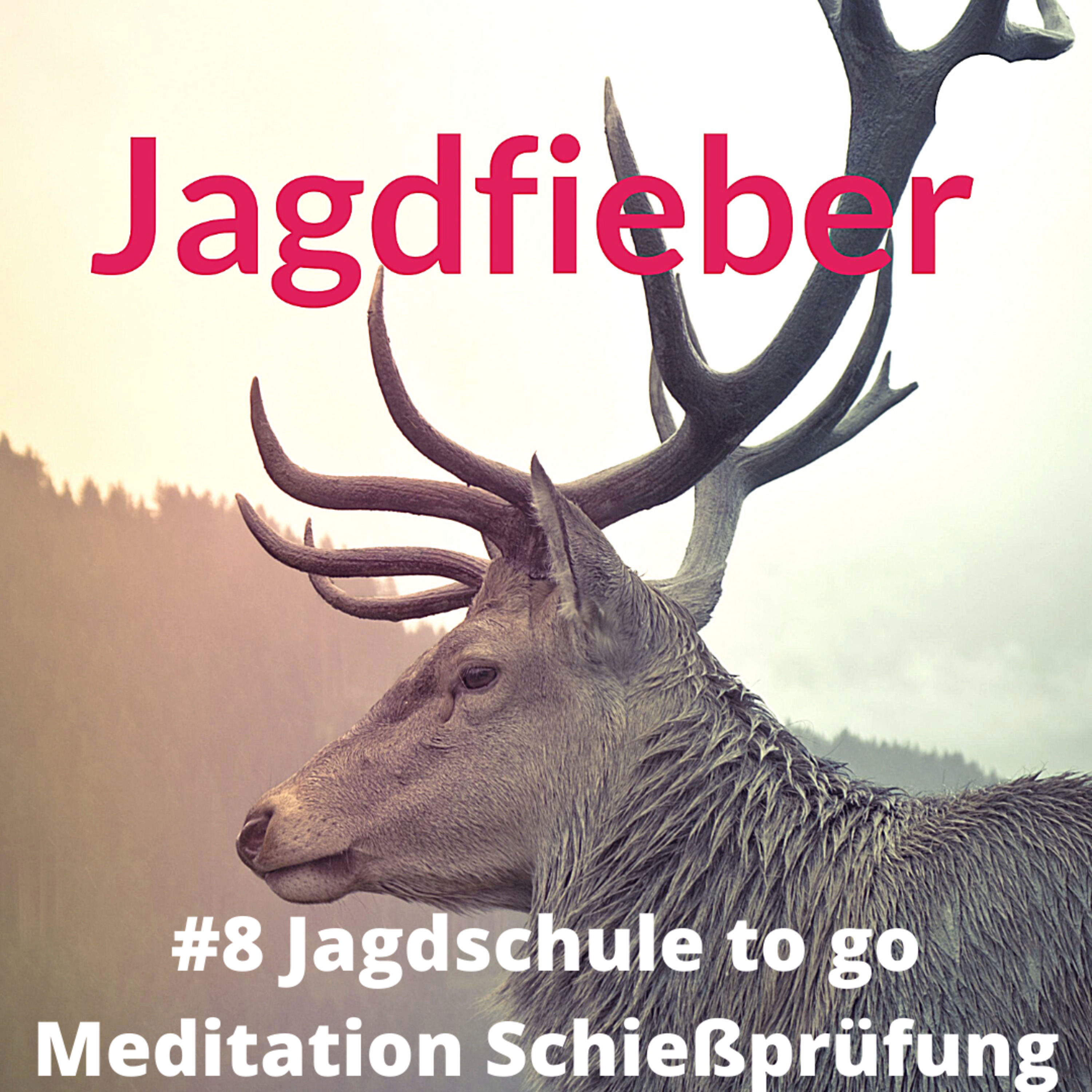 #8 #Jagdschuletogo #Meditation #Schießprüfung #Jagdpodcast #jagdblog #jagdausbildung #wildaufwild #jagd #hunter