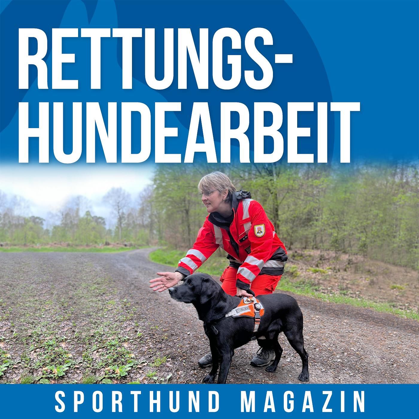 #8: Rettungshundearbeit