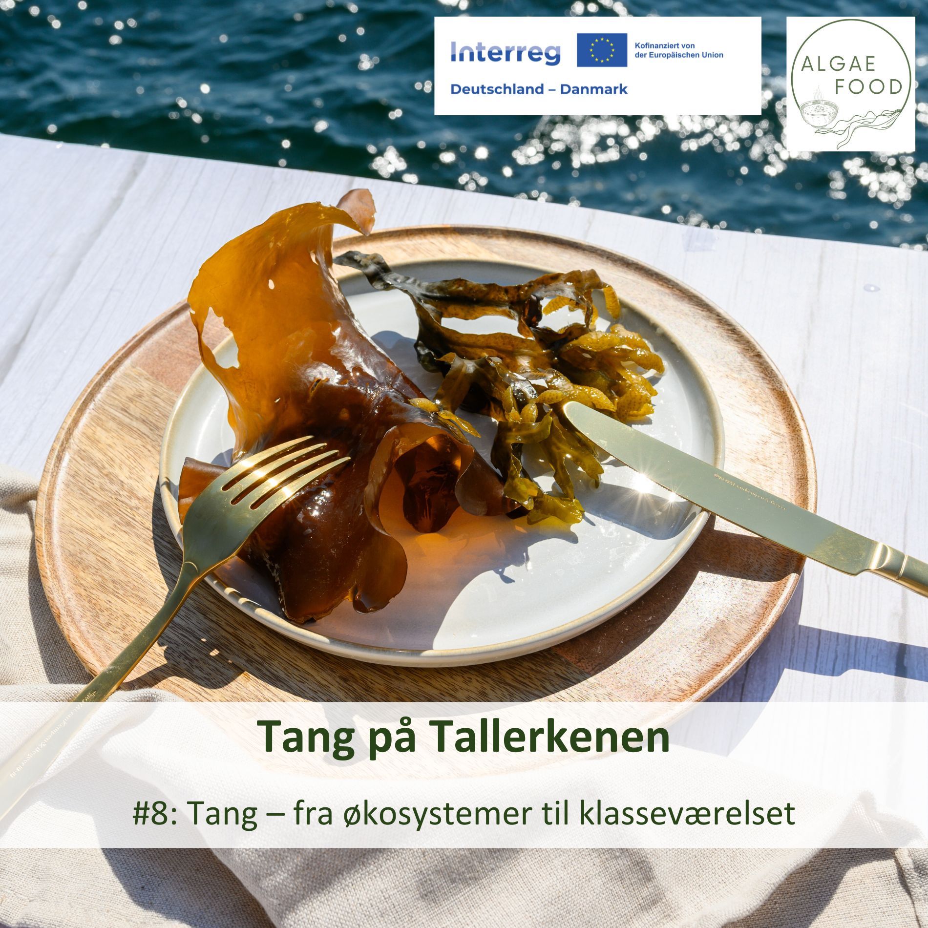#8: Tang – fra økosystemer til klasseværelset