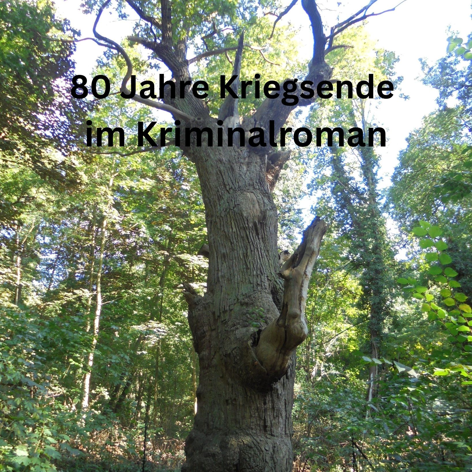80 Jahre Kriegsende im Kriminalroman