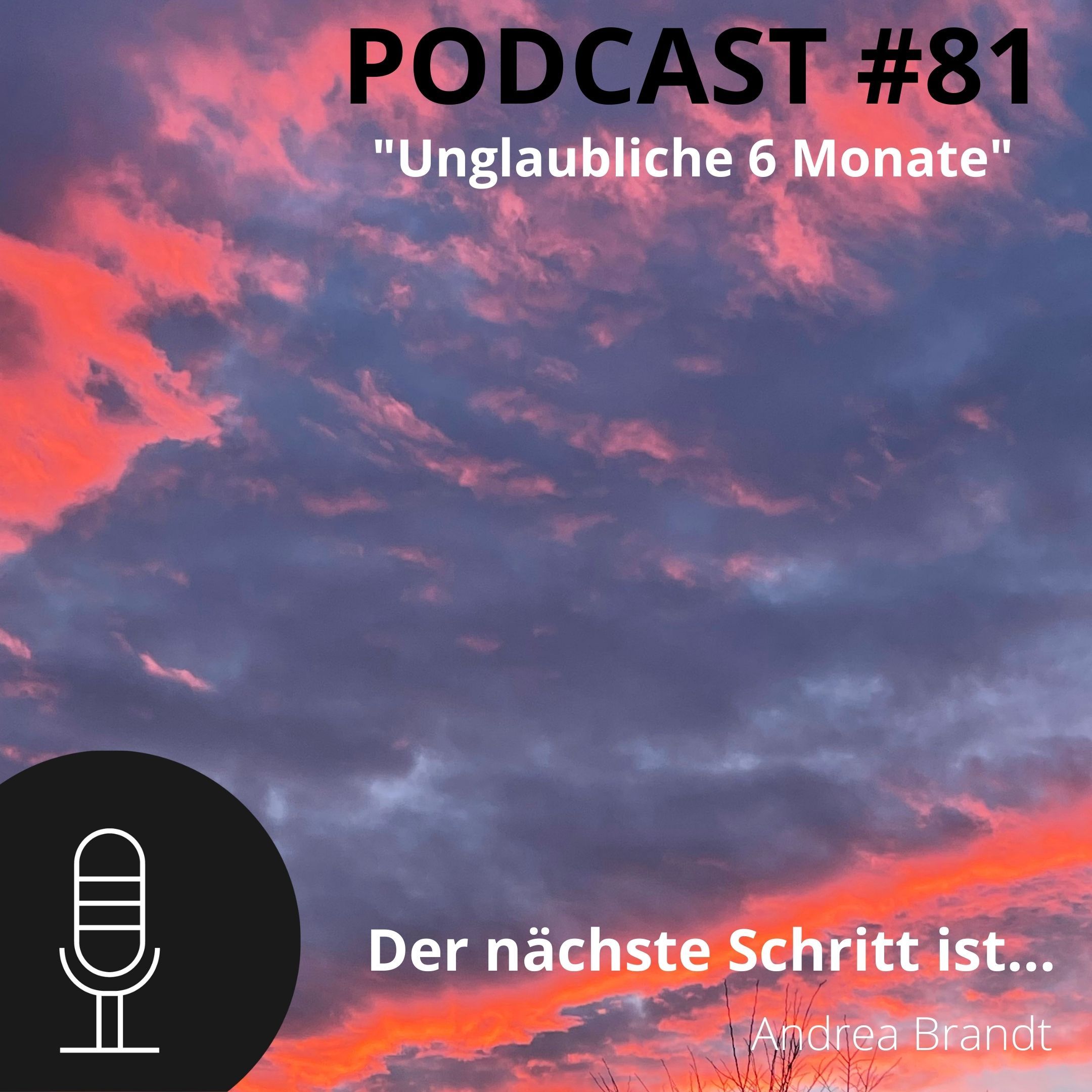 #81 Unglaubliche 6 Monate