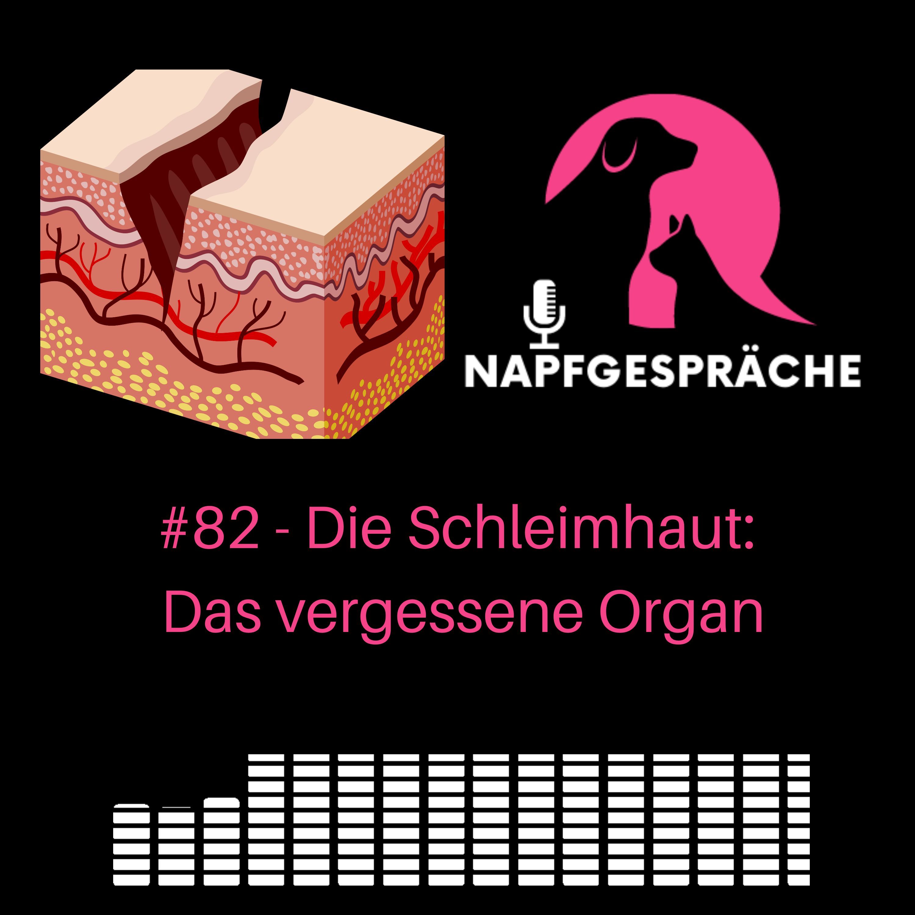 #82 - Die Darmschleimhaut des Hundes: Das vergessene Organ