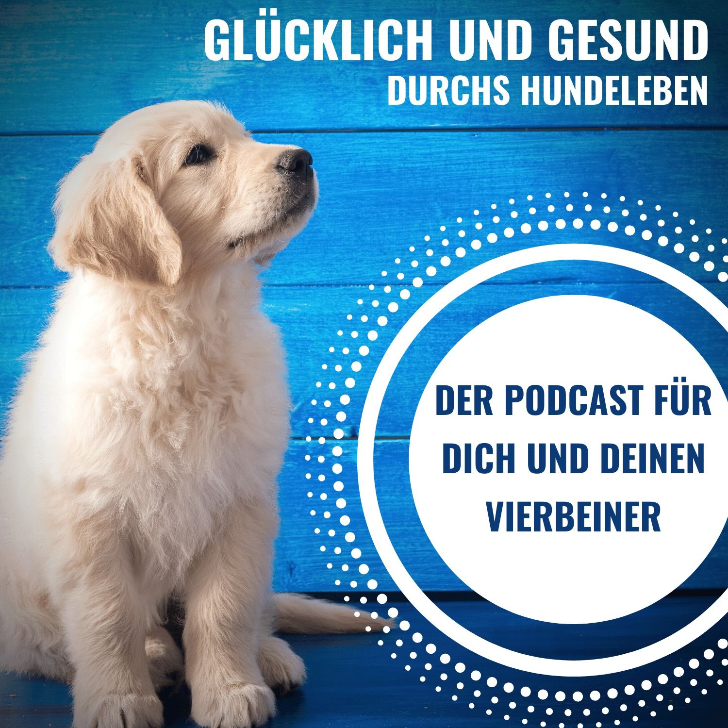 # 82 Wer erbt meinen Hund?