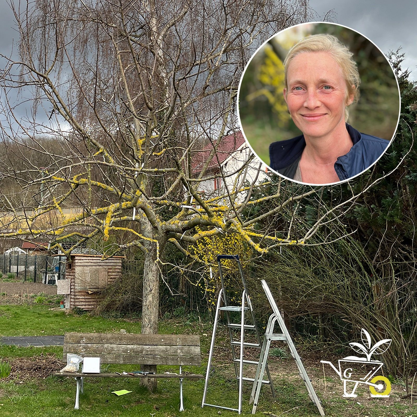 #82: Wie funktioniert die Obstbaumveredelung?