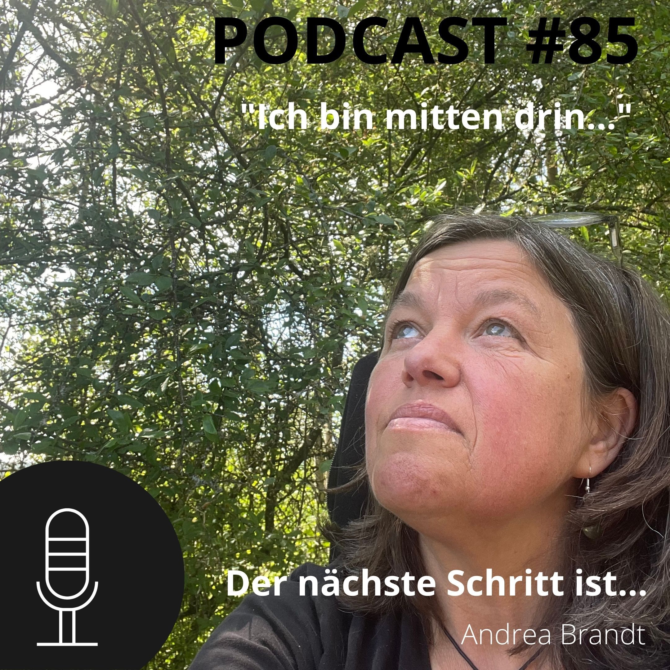 #85 Der nächste Schritt ist... Ich bin mittendrin in meiner Vision