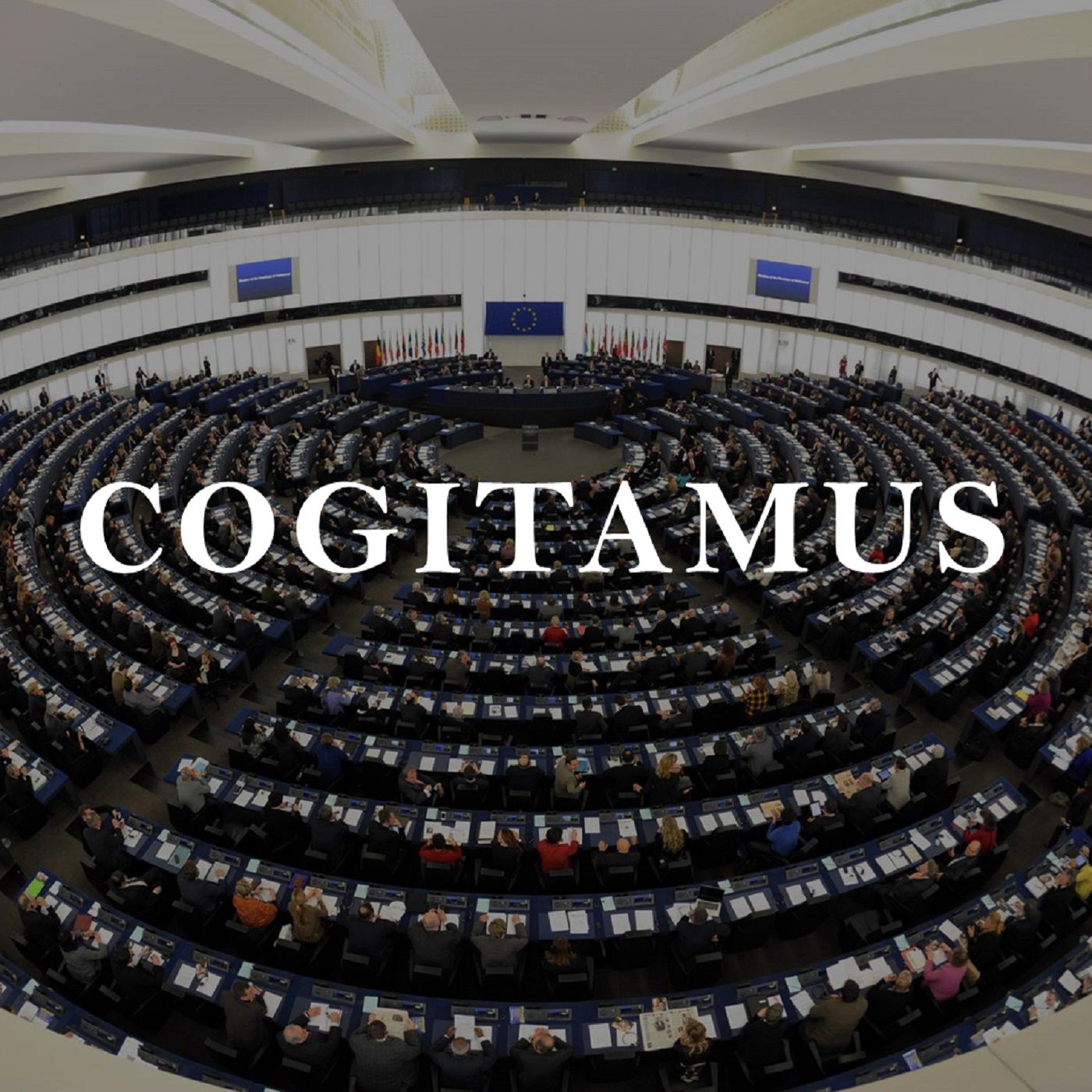 #85 – Europawahl 2024: Vernünftig wählen bei der wichtigsten Wahl seit langem