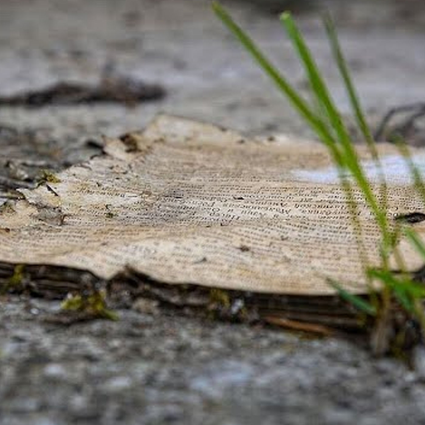 85 JAHRE NOVEMBERPOGROME - NICHT NUR DIE SYNAGOGEN BRANNTEN